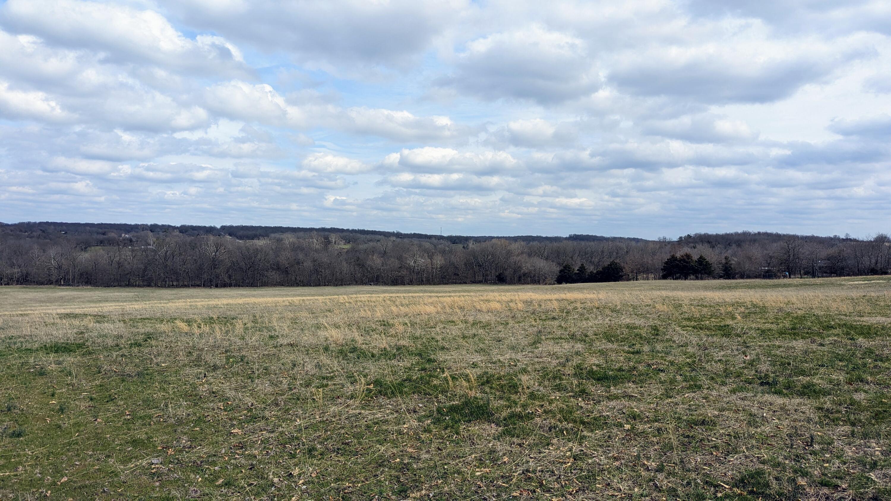 Photo 7 - Land for sale – Tract F N Farm Road 61   Willard, MO