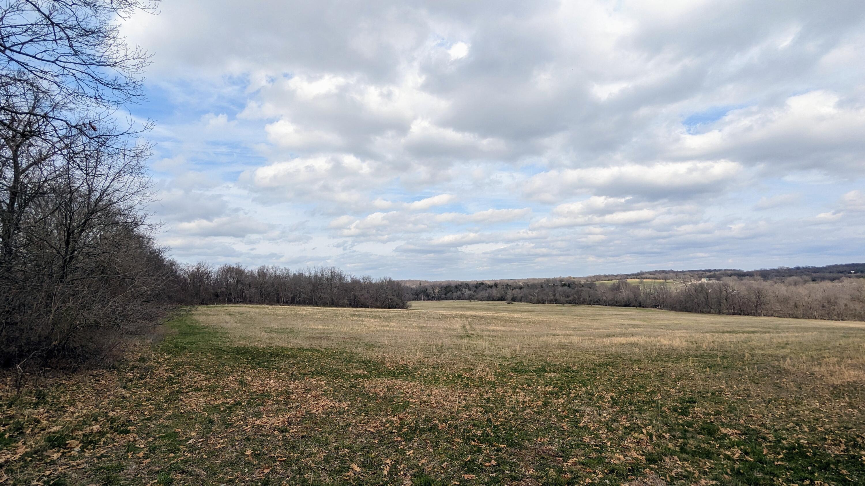 Photo 4 - Land for sale – Tract F N Farm Road 61   Willard, MO