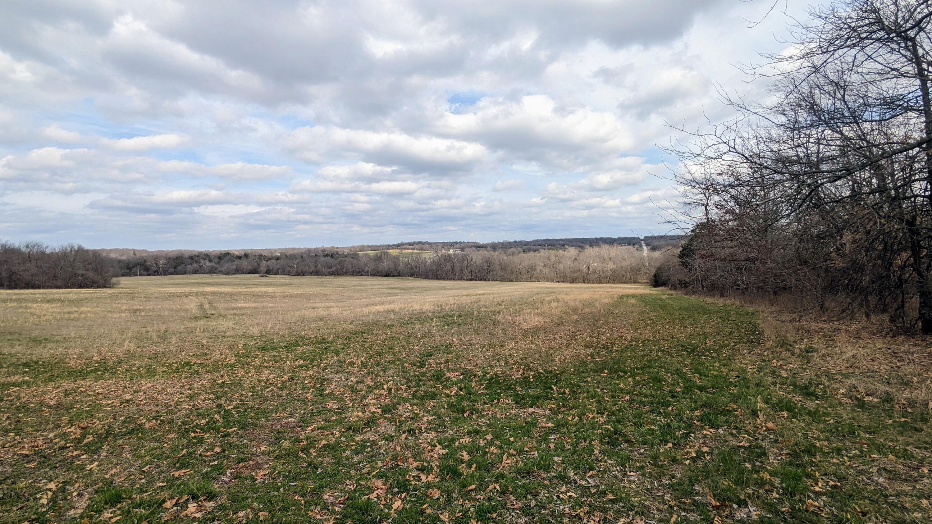 Photo 3 - Land for sale – Tract F N Farm Road 61   Willard, MO