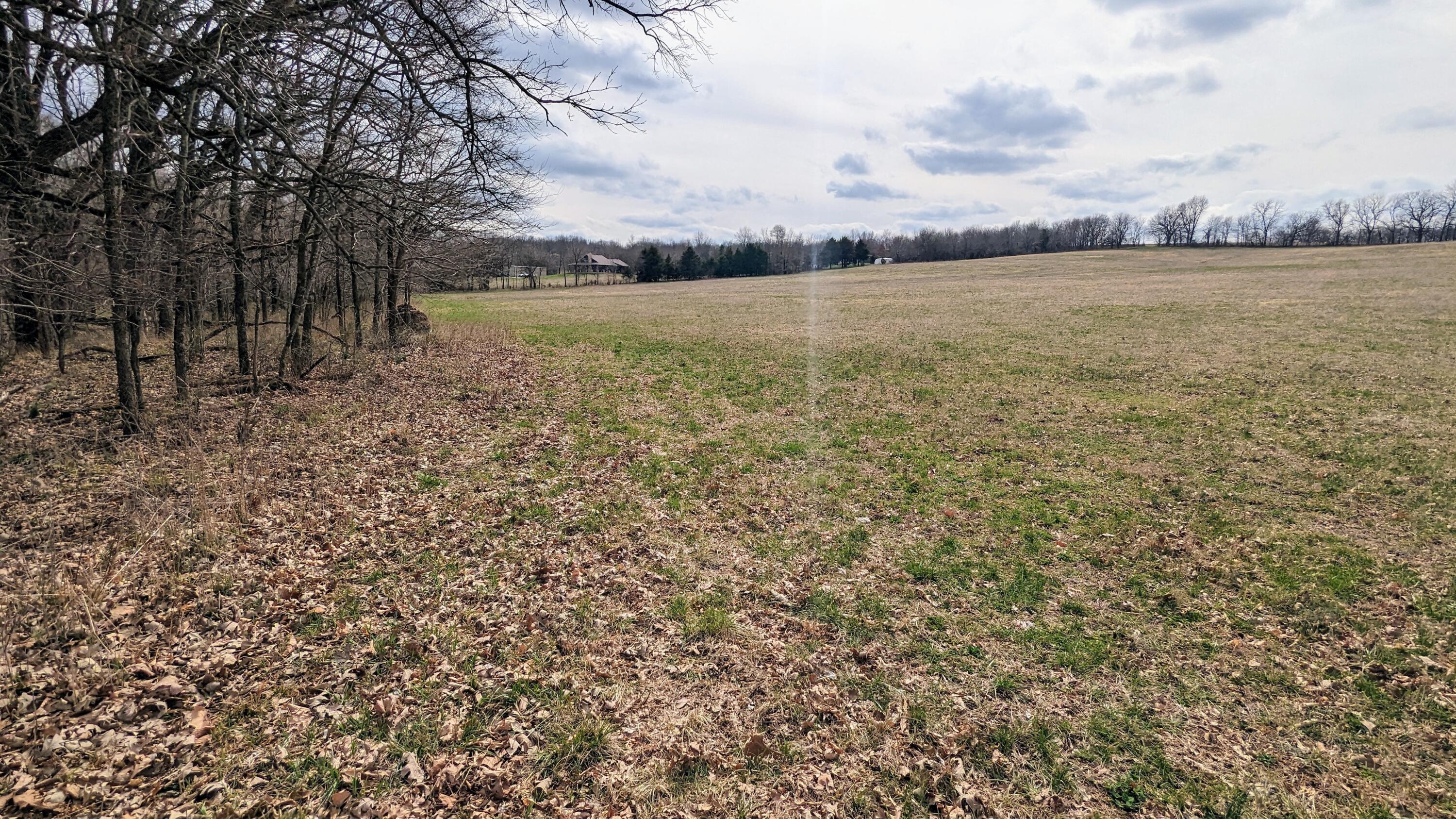 Photo 6 - Land for sale – Tract F N Farm Road 61   Willard, MO