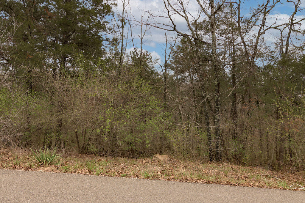 Photo 2 - Land for sale – Lot 26  Oakwood Lane  Merriam Woods, MO