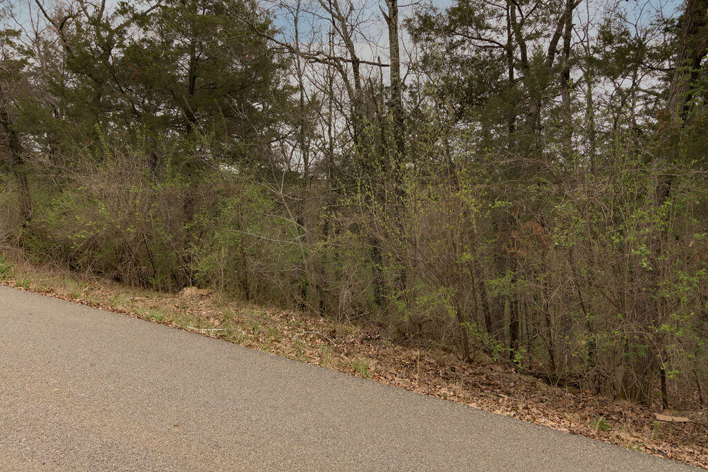 Photo 3 - Land for sale – Lot 26  Oakwood Lane  Merriam Woods, MO