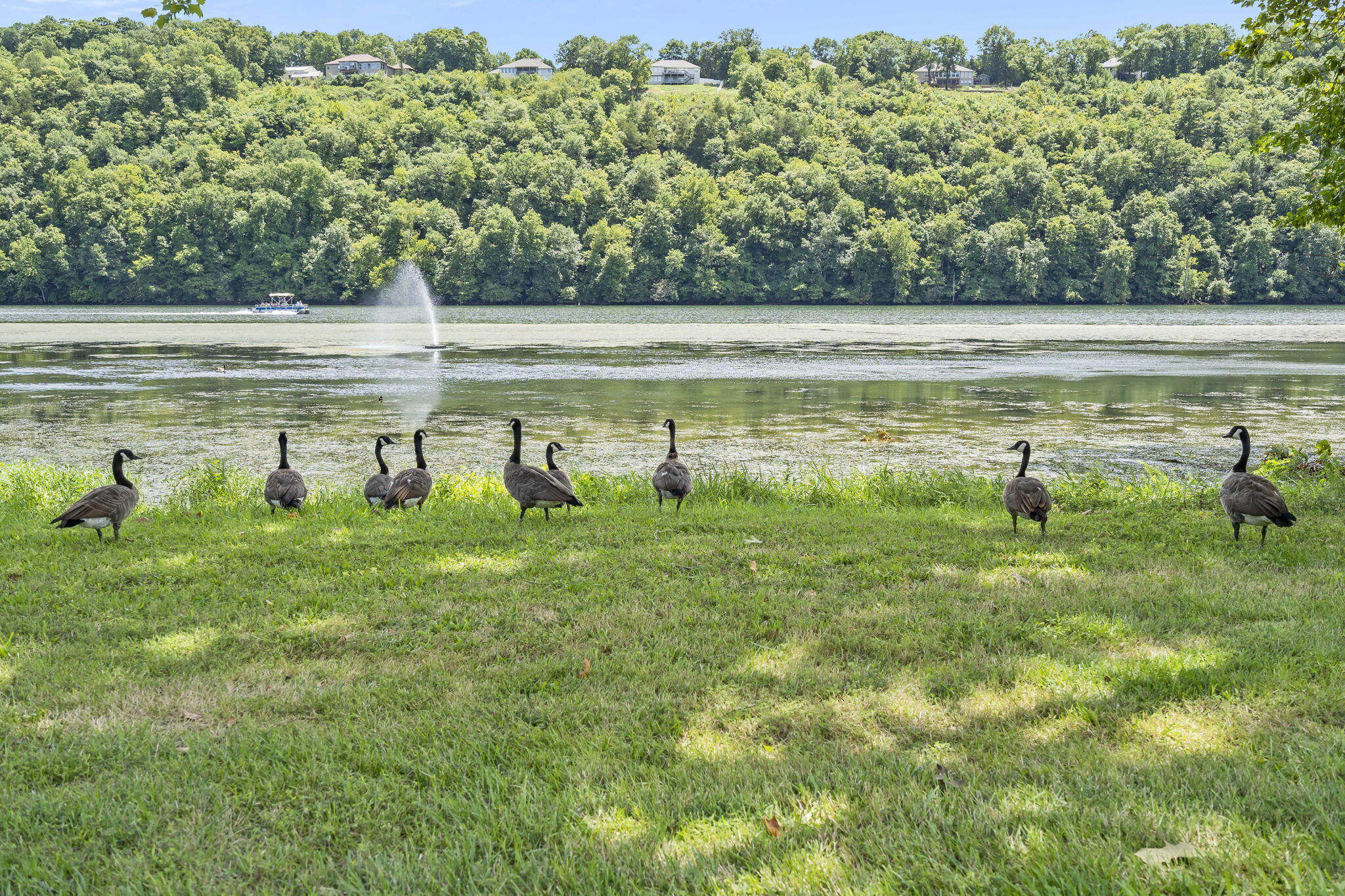 Photo 34 - Land for sale – Lot 52  Richard Road  Rockaway Beach, MO