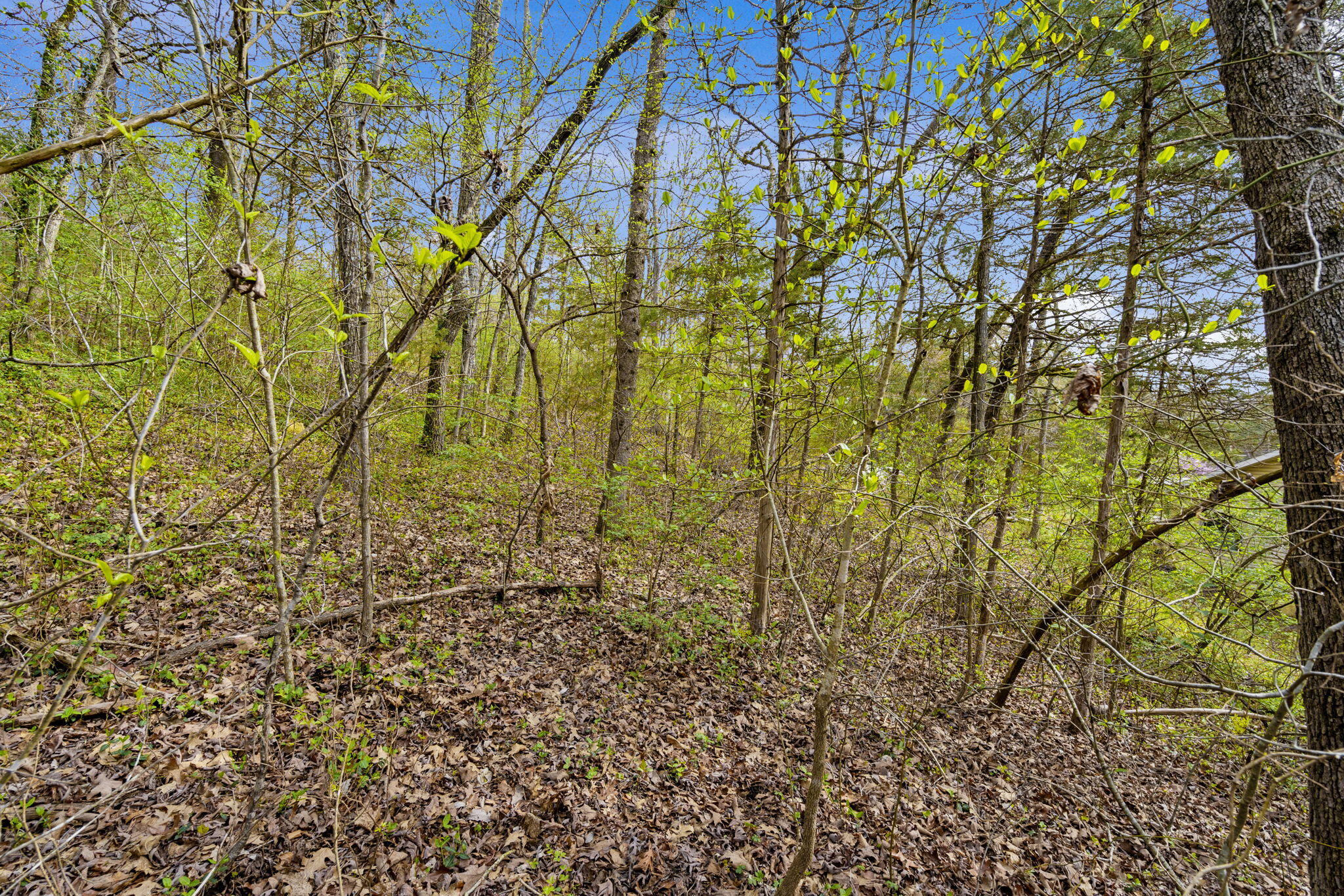 Photo 9 - Land for sale – Lot 52  Richard Road  Rockaway Beach, MO