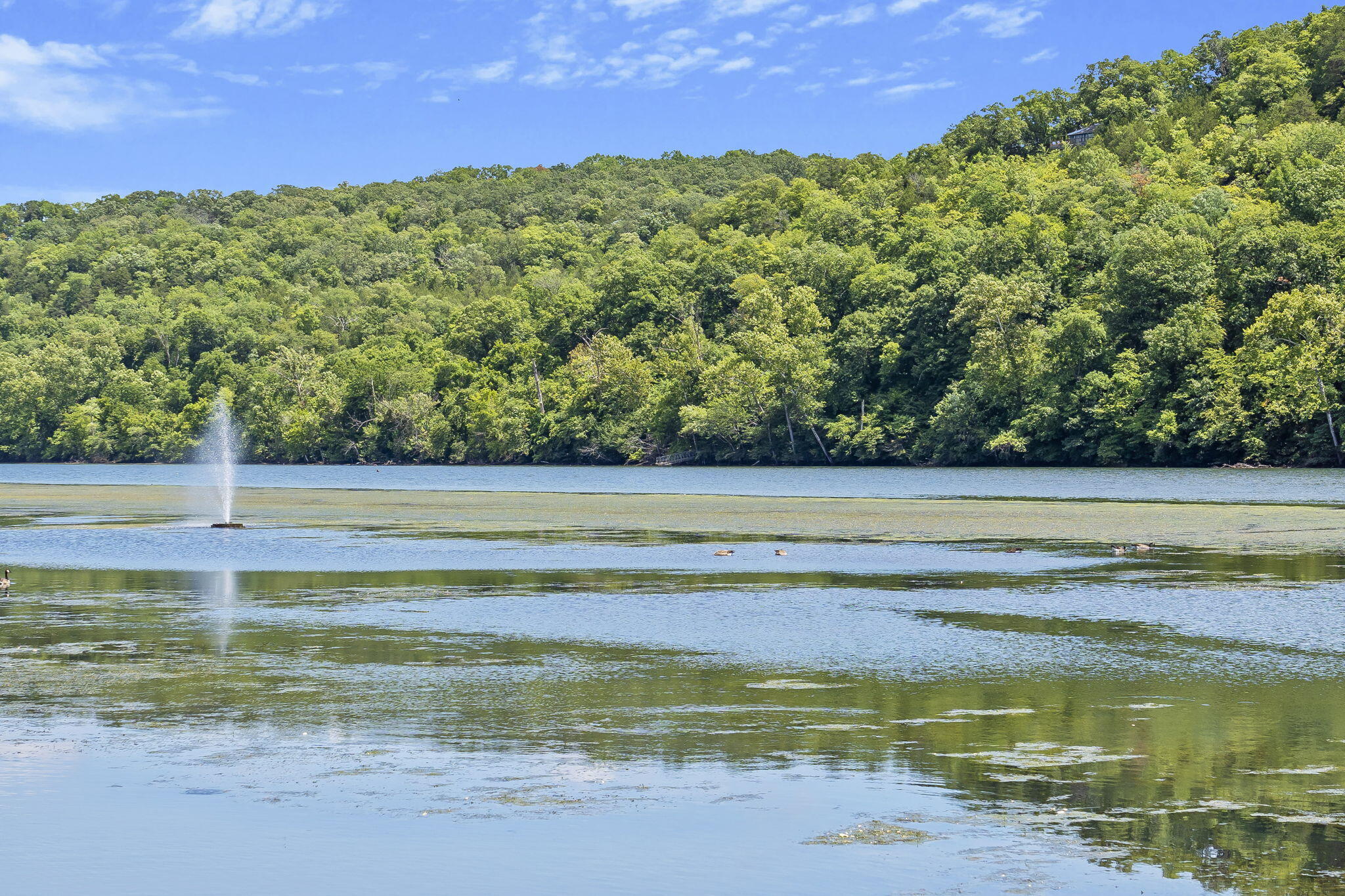 Photo 39 - Land for sale – Lot 52  Richard Road  Rockaway Beach, MO