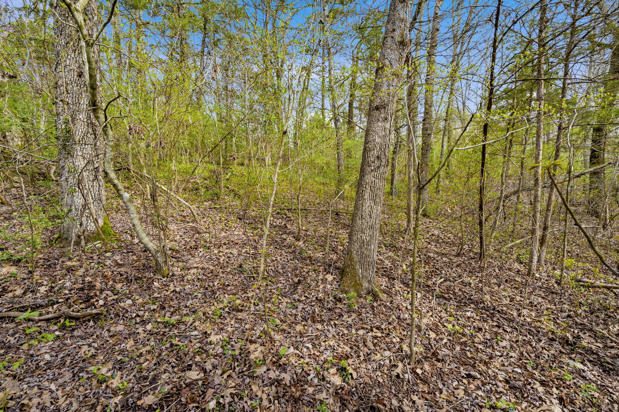 Photo 7 - Land for sale – Lot 52  Richard Road  Rockaway Beach, MO