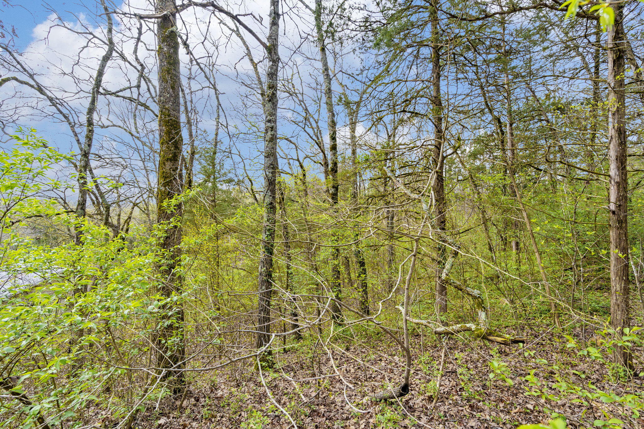 Photo 6 - Land for sale – Lot 52  Richard Road  Rockaway Beach, MO