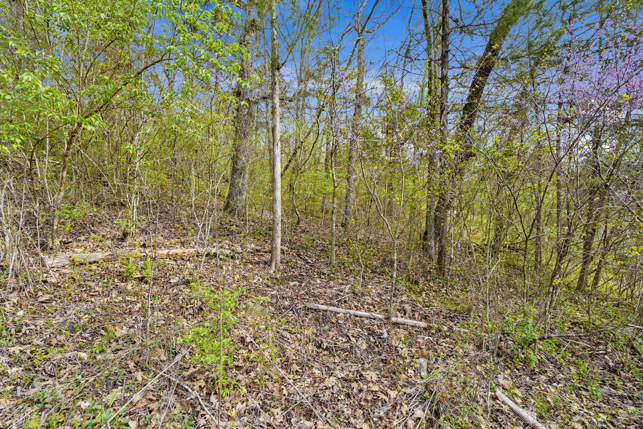 Photo 5 - Land for sale – Lot 52  Richard Road  Rockaway Beach, MO