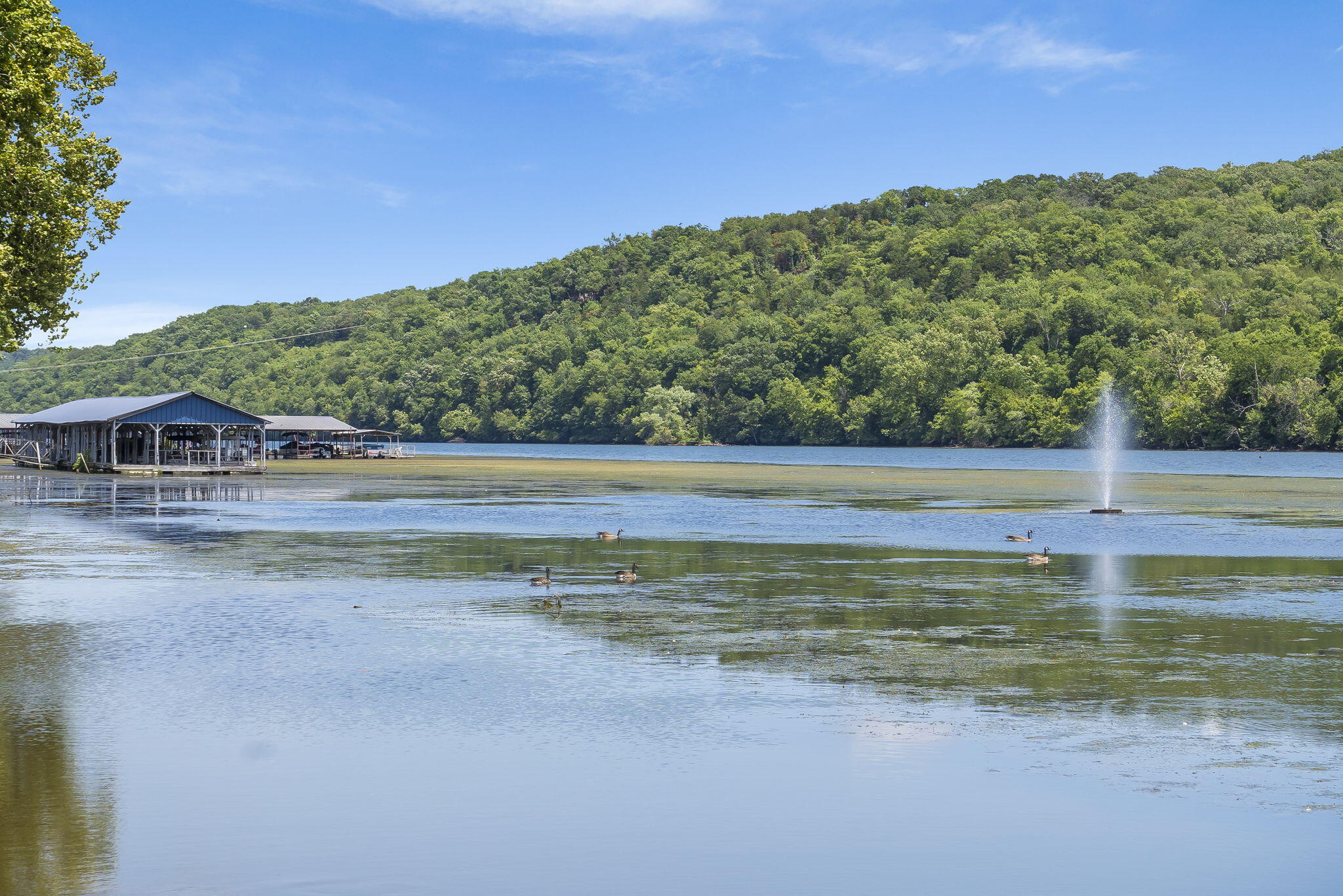 Photo 40 - Land for sale – Lot 52  Richard Road  Rockaway Beach, MO