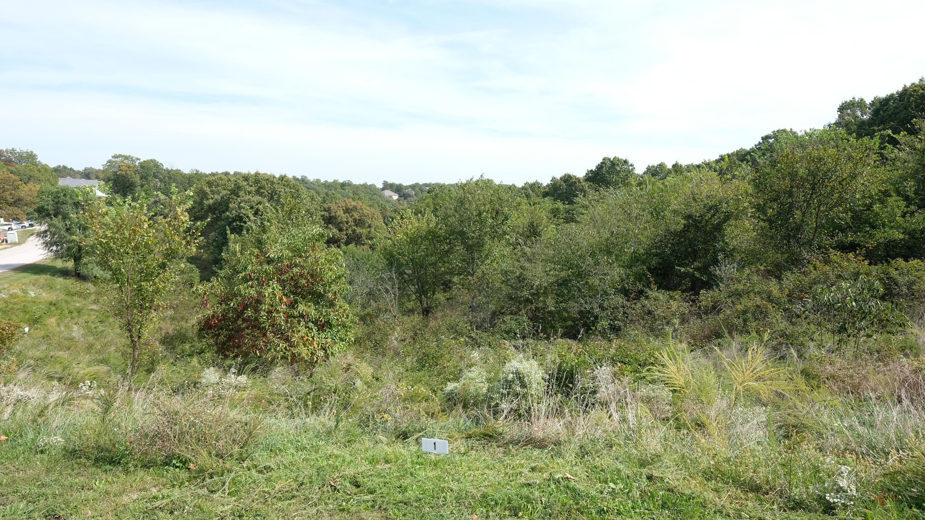 Land for sale – 374  Emory Creek Road  Branson, MO