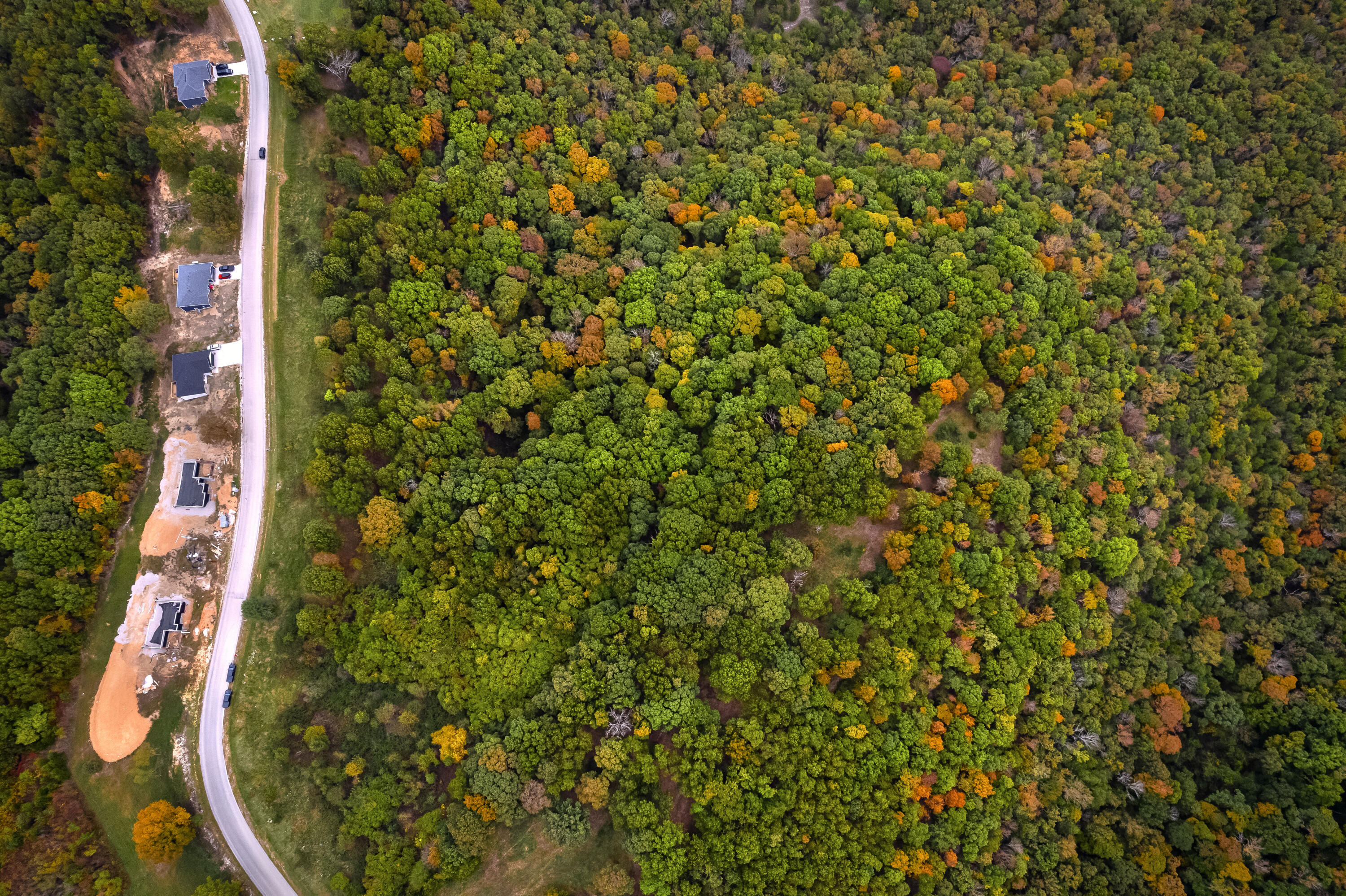 Photo 2 - Land for sale – 374  Emory Creek Road  Branson, MO