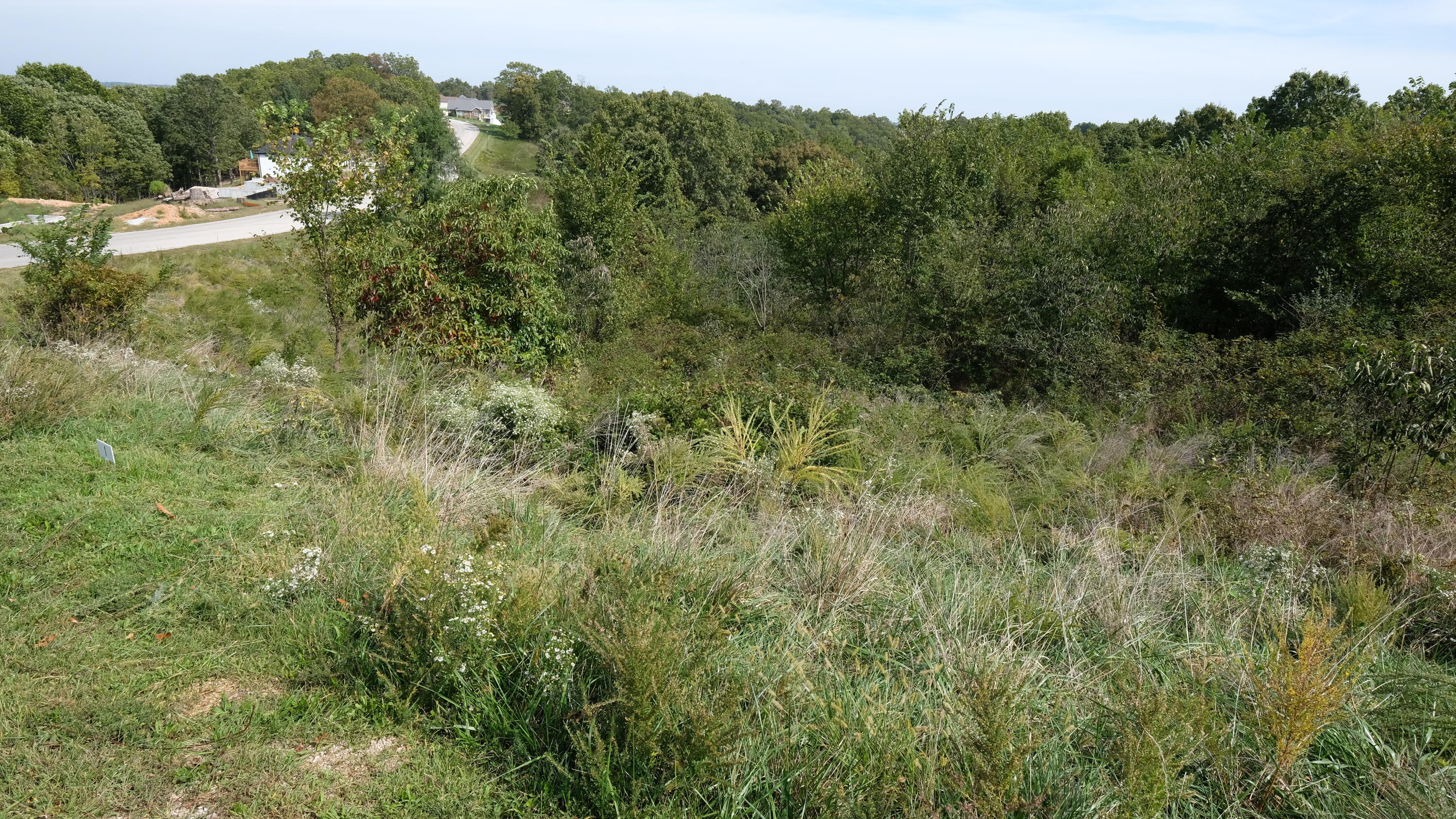 Photo 5 - Land for sale – 374  Emory Creek Road  Branson, MO