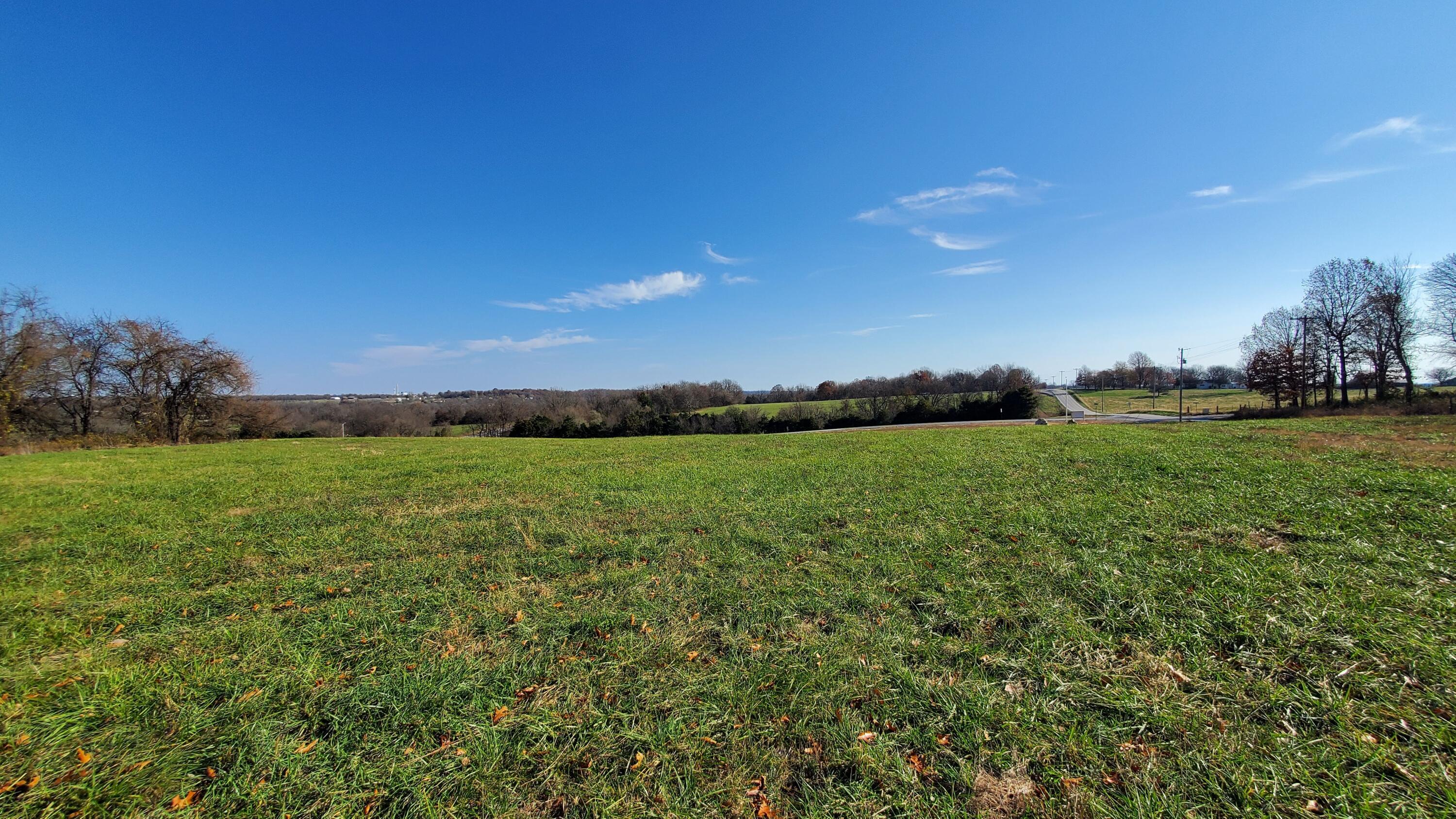 Land for sale – 6577 S Lock Lane  Republic, MO