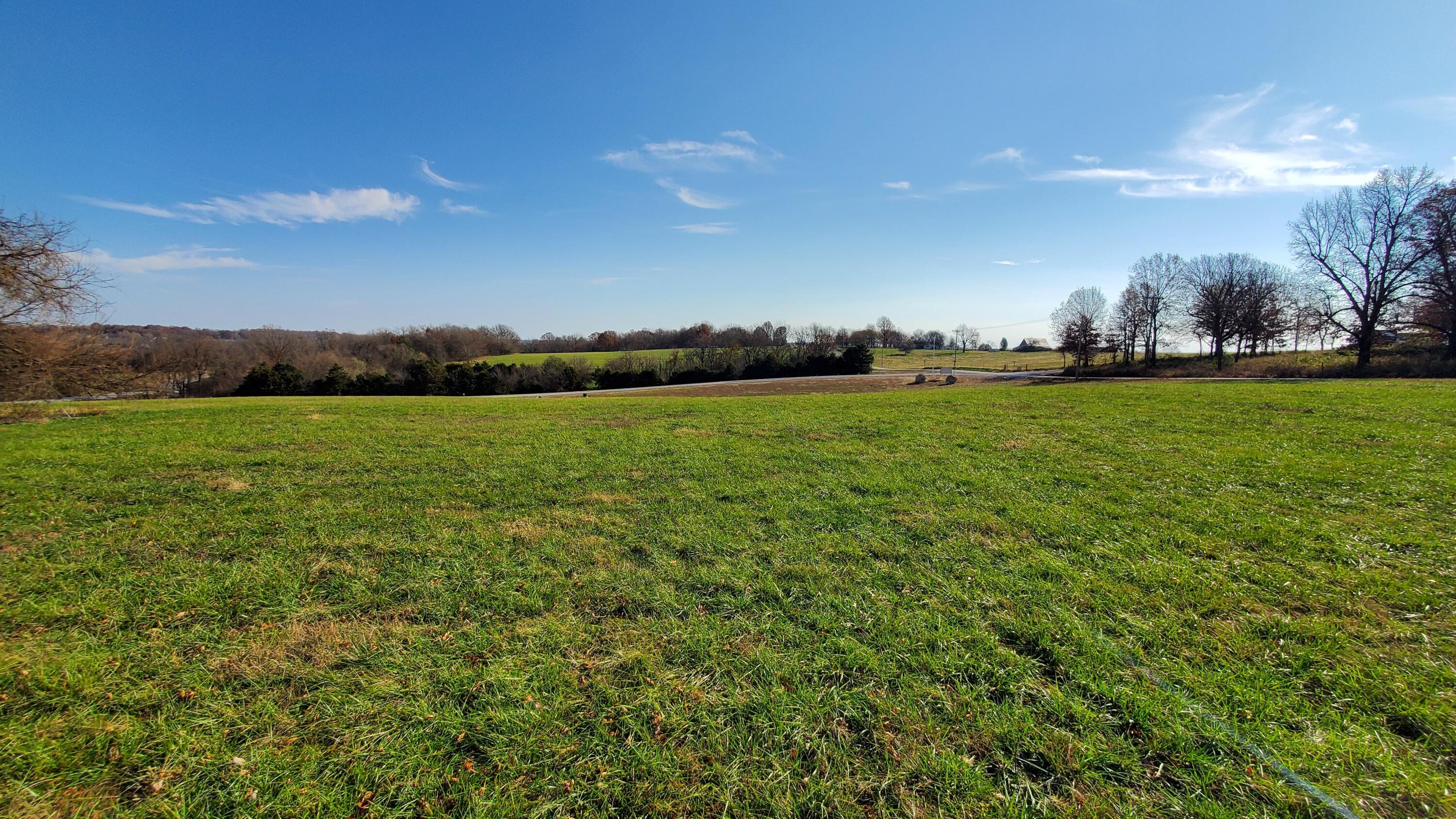 Photo 2 - Land for sale – 6577 S Lock Lane  Republic, MO