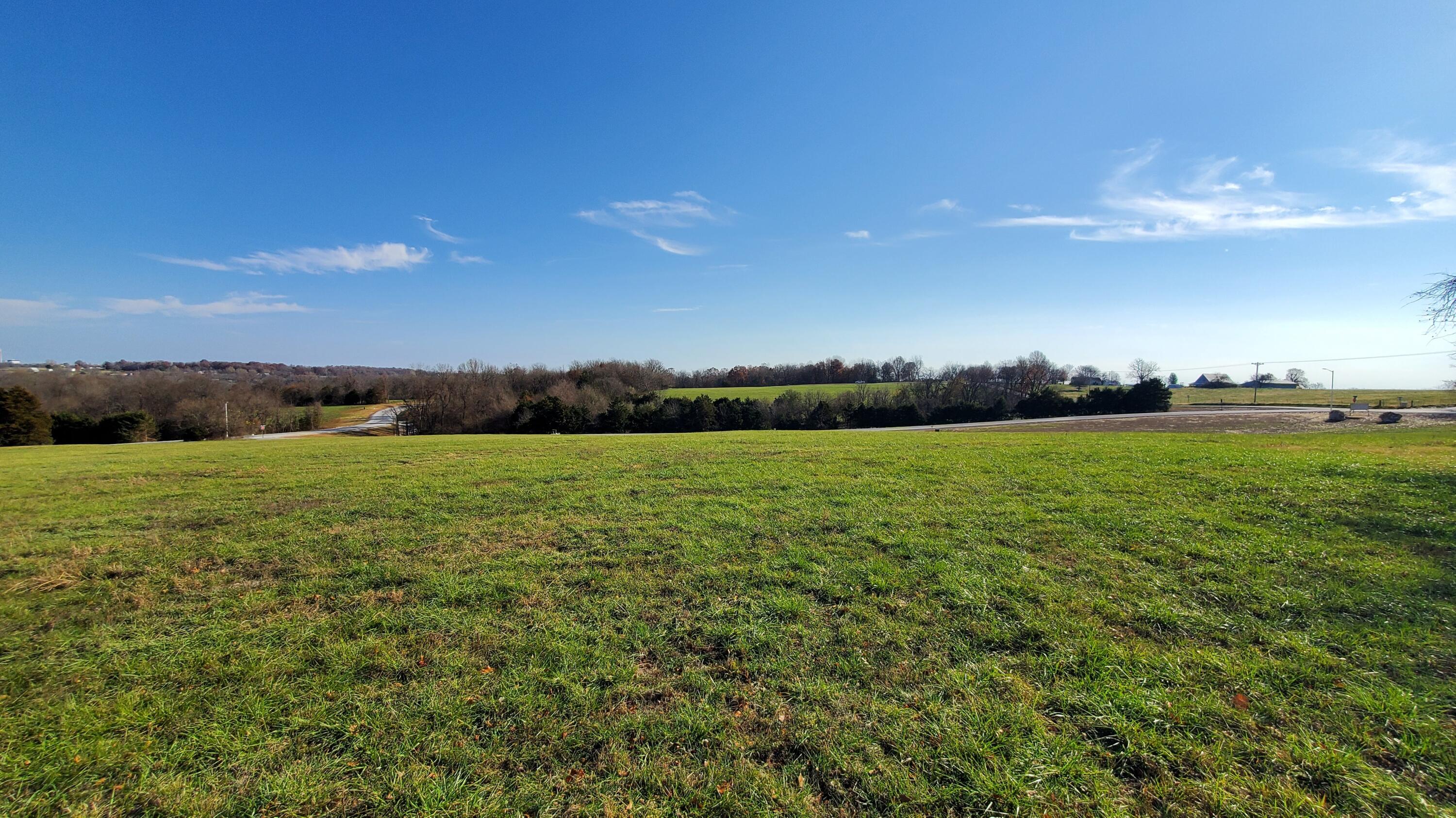 Land for sale – 6555 S Lock Lane  Republic, MO