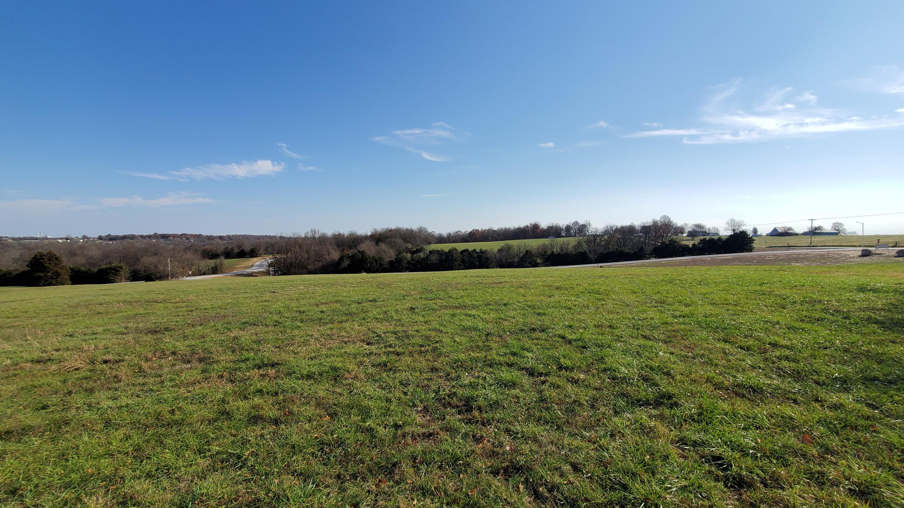 Photo 2 - Land for sale – 6555 S Lock Lane  Republic, MO