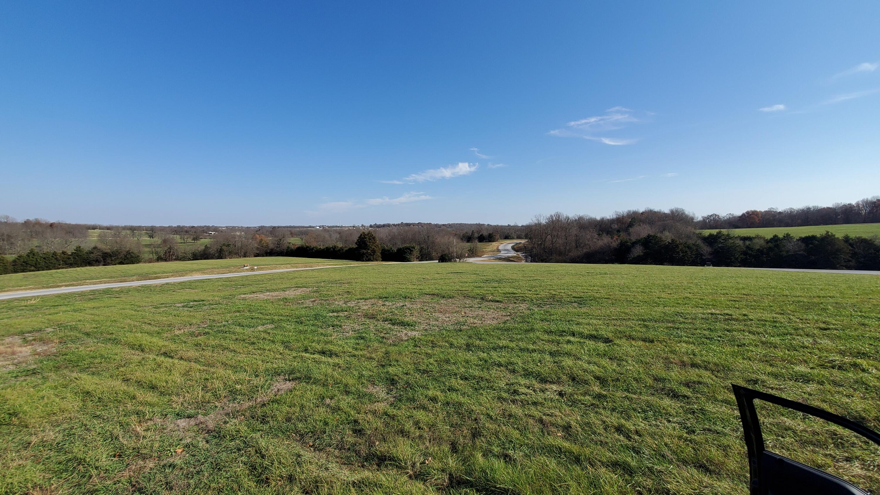 Photo 2 - Land for sale – 6533 S Lock Lane  Republic, MO