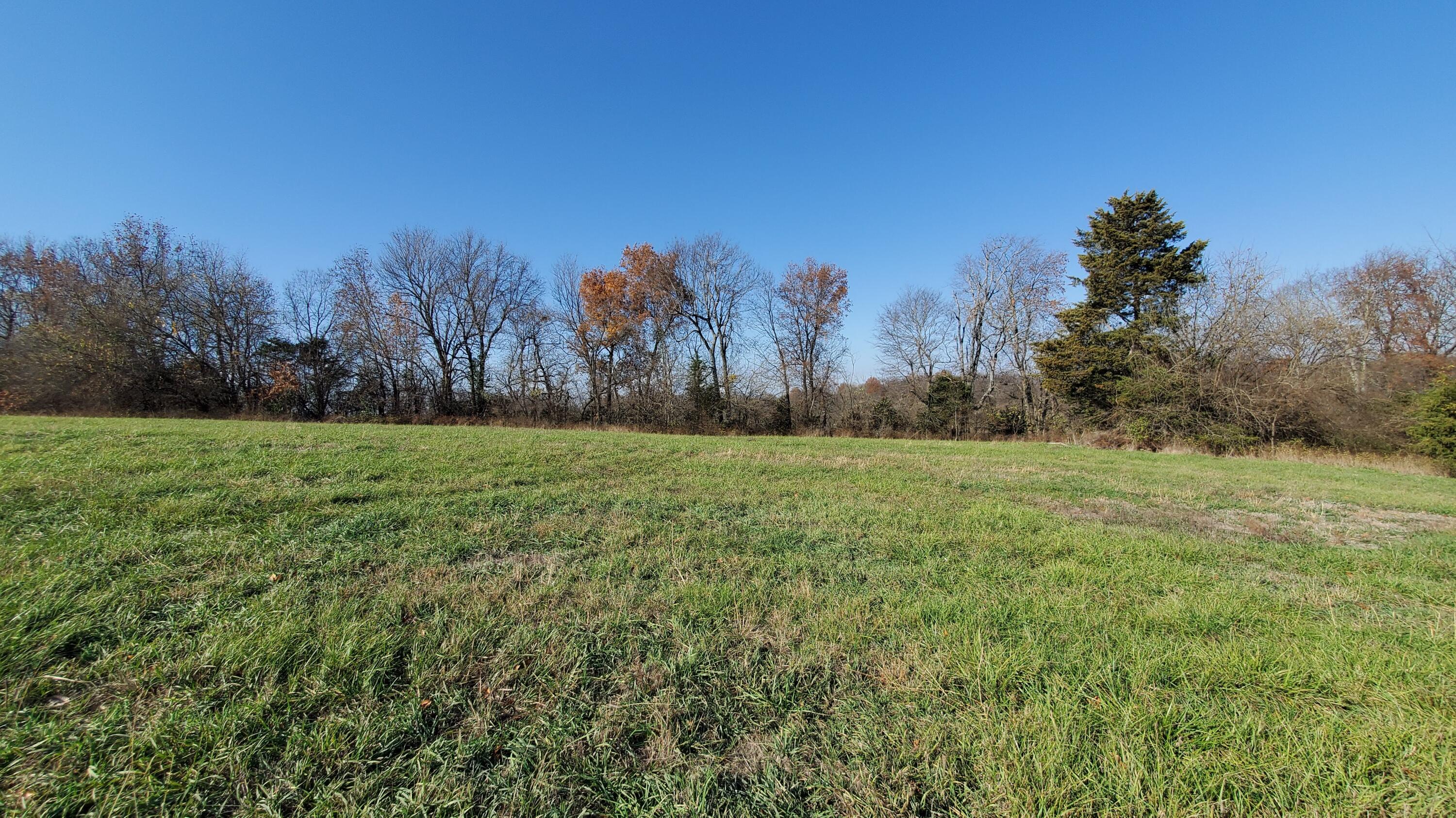 Land for sale – 6533 S Lock Lane  Republic, MO