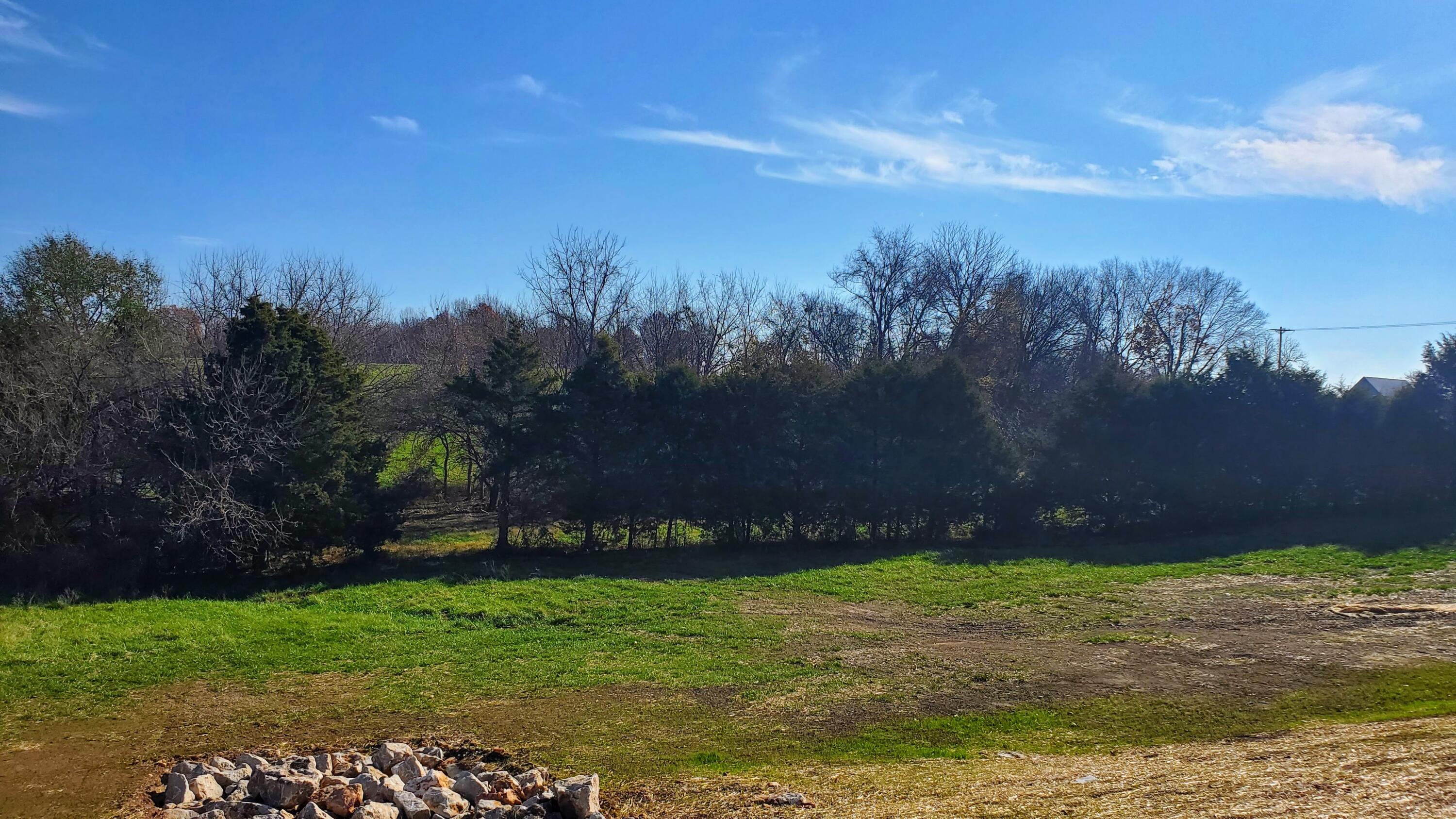 Photo 3 - Land for sale – 6564 S Lock Lane  Republic, MO