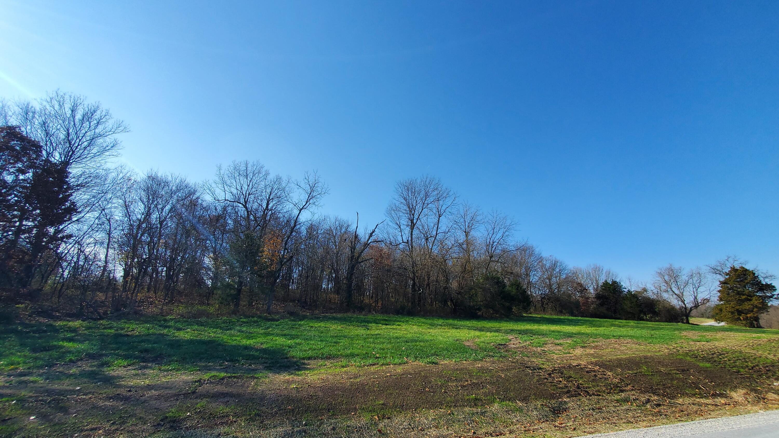 Photo 2 - Land for sale – 6523 S Stock Street  Republic, MO