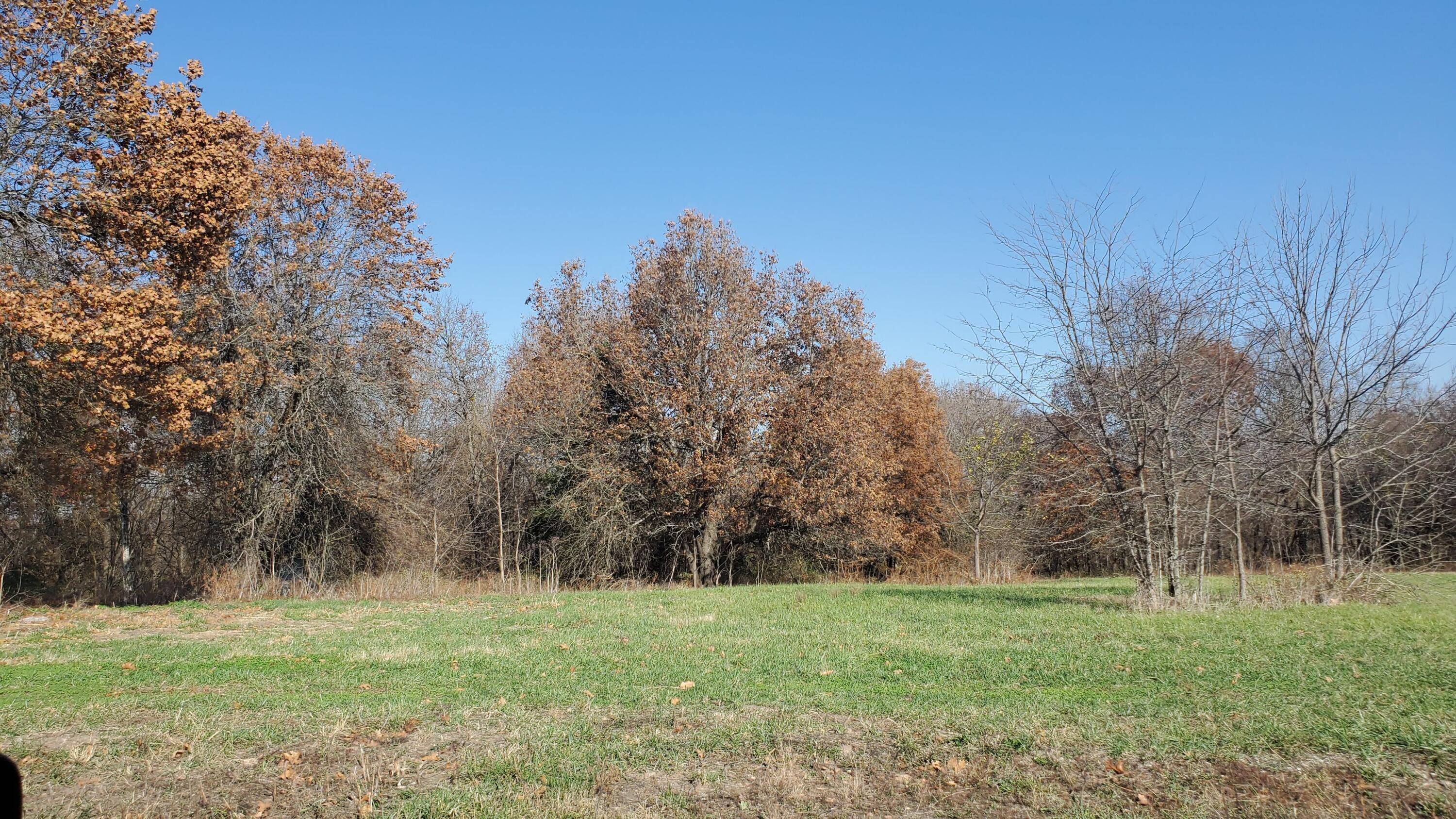 Photo 2 - Land for sale – 6594 S Stock Street  Republic, MO