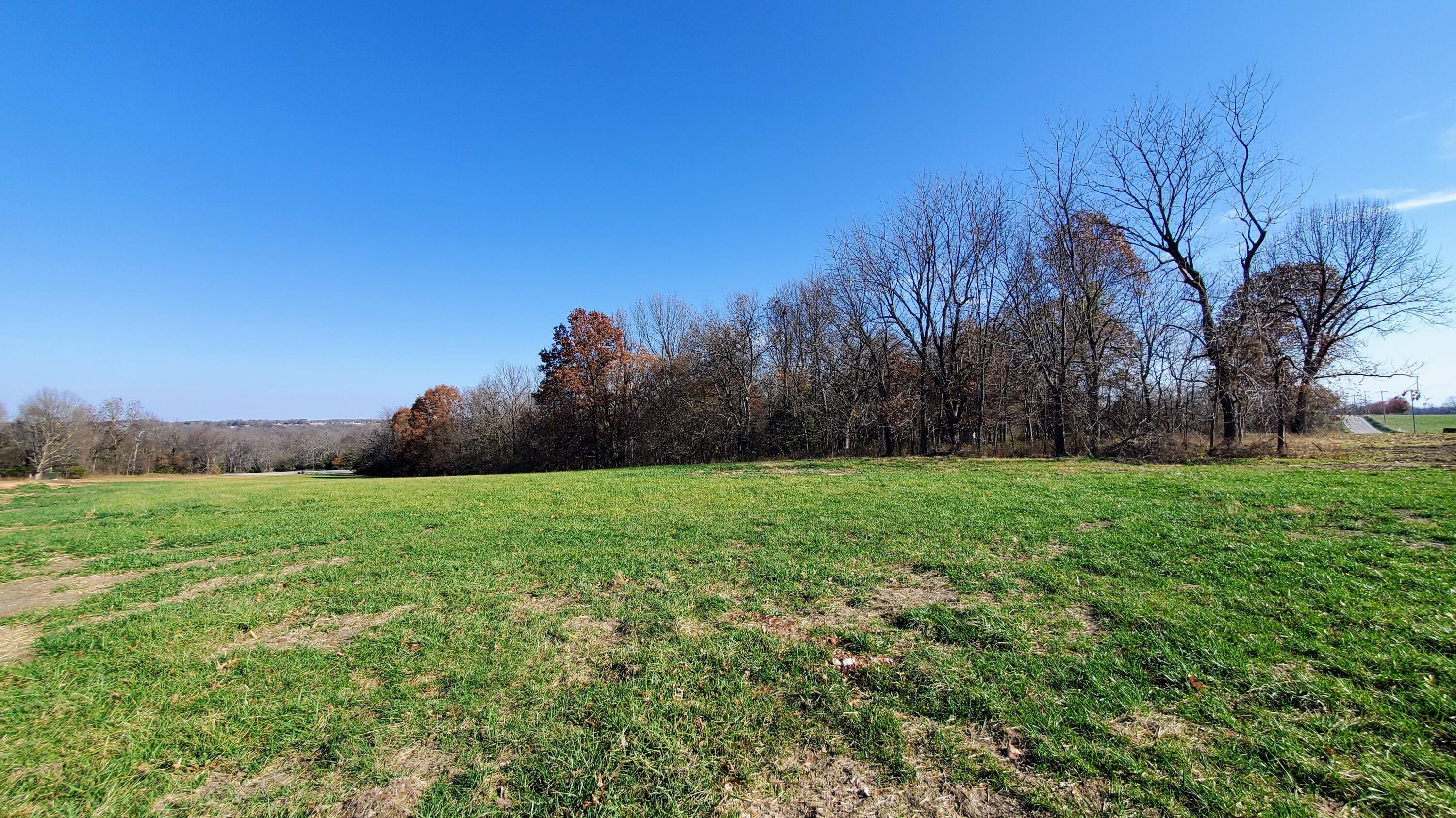 Photo 3 - Land for sale – 6594 S Stock Street  Republic, MO