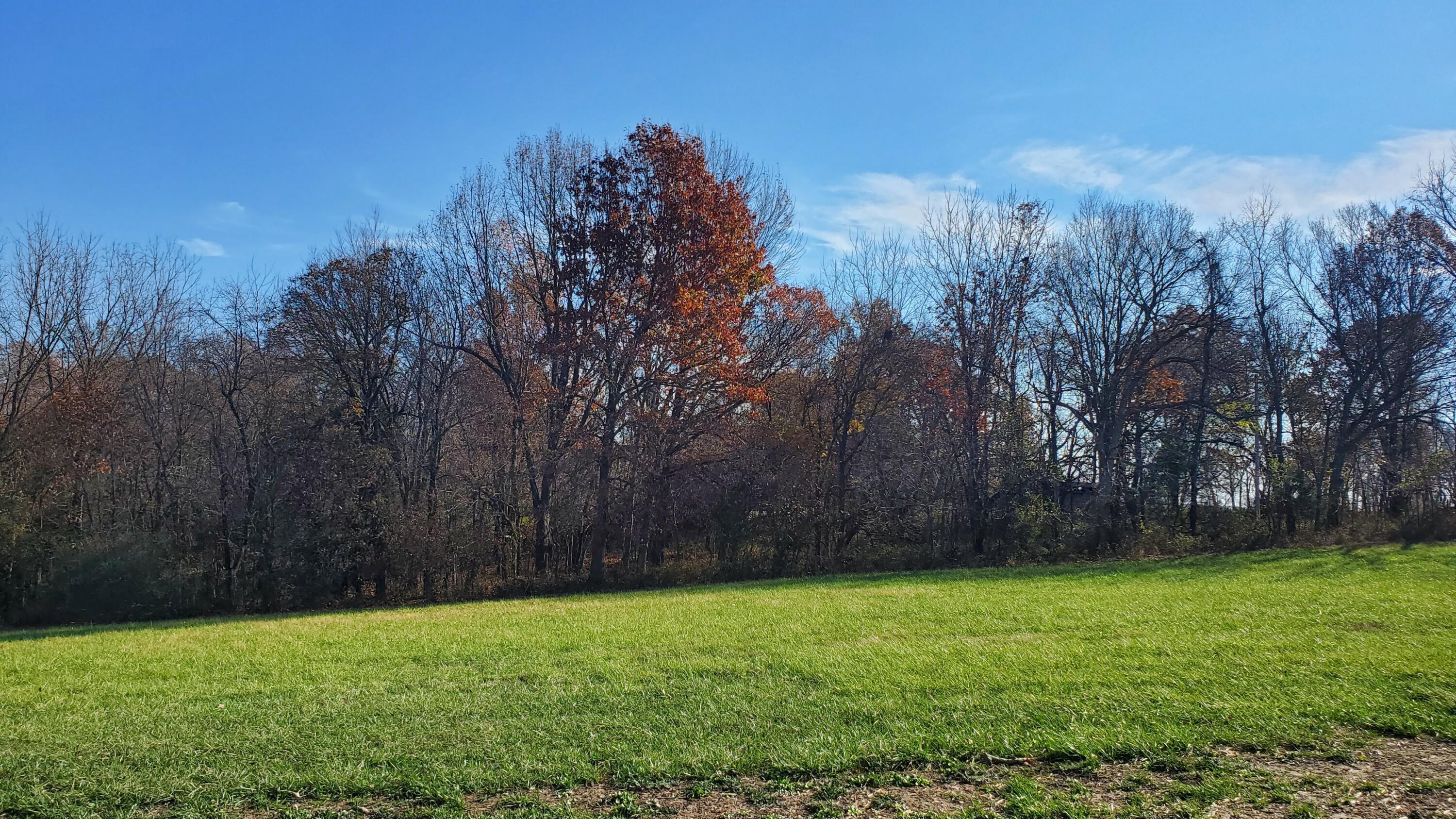 Land for sale – 6594 S Stock Street Republic, MO