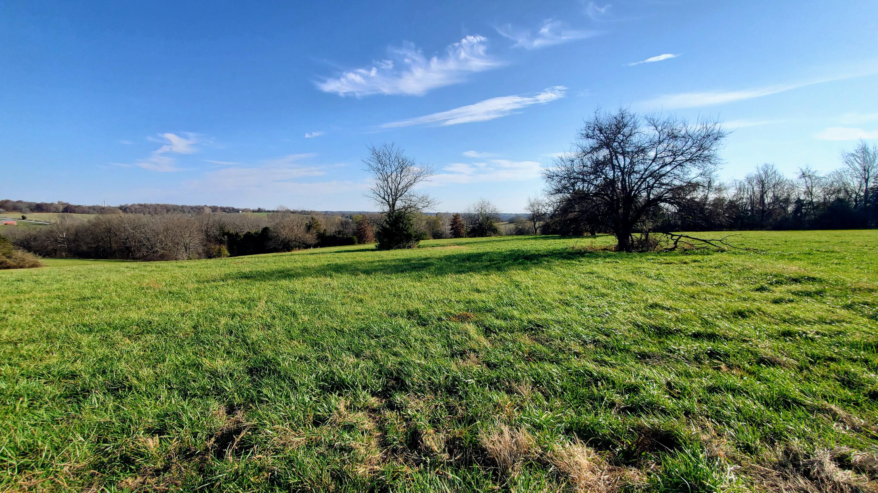 Land for sale – 6536 S Barrel Boulevard  Republic, MO