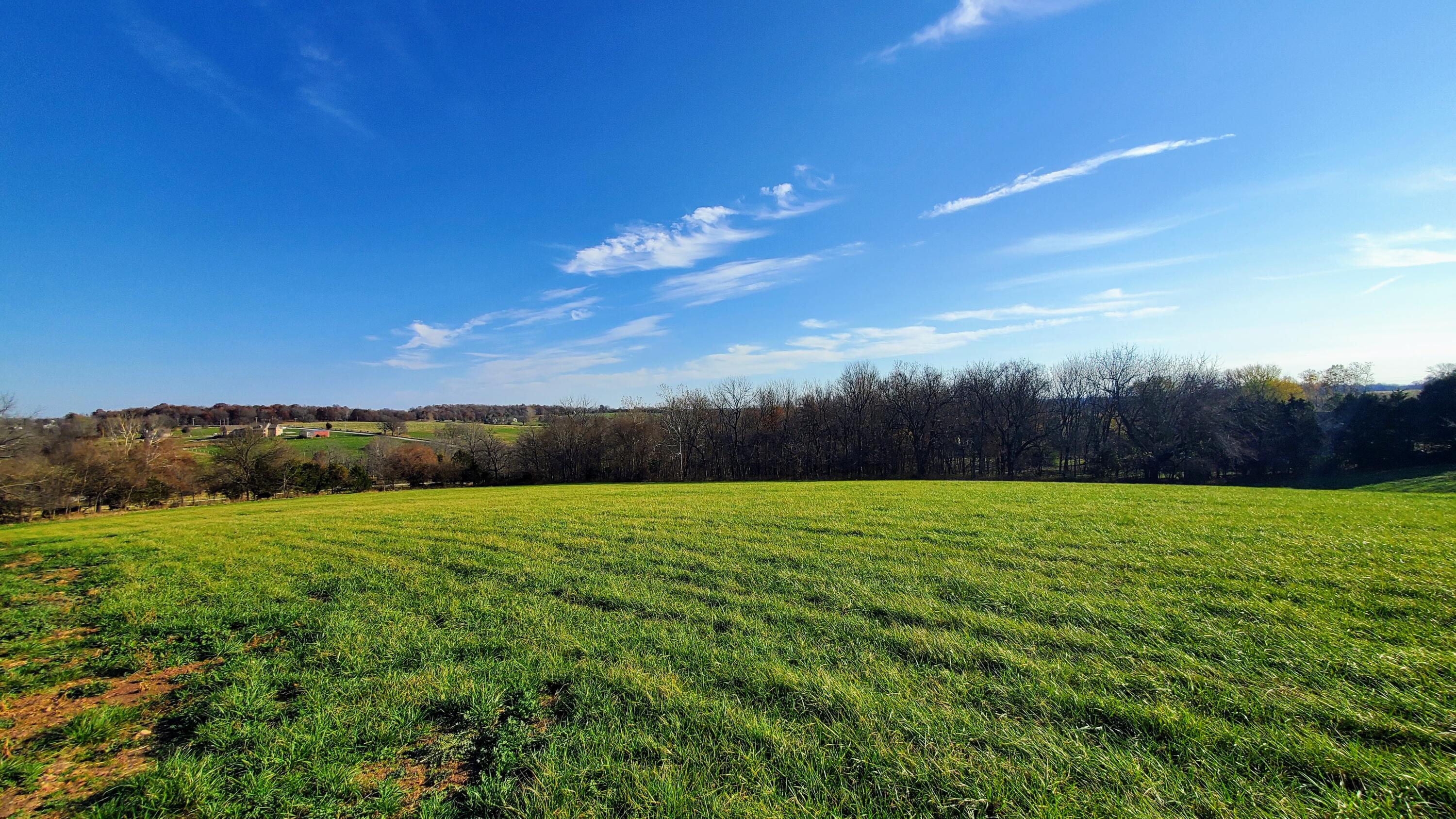 Photo 6 - Land for sale – 6536 S Barrel Boulevard  Republic, MO