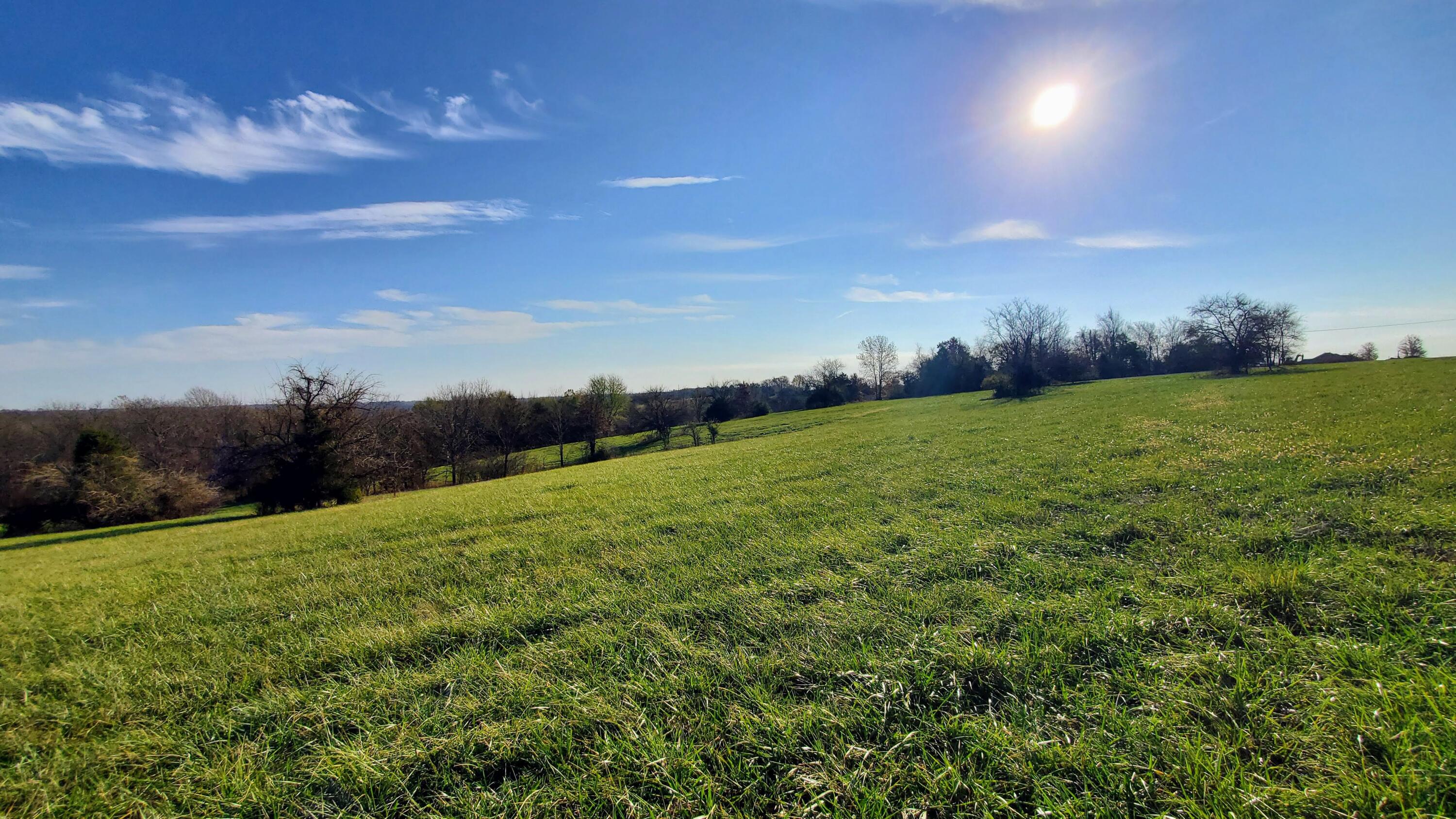 Photo 4 - Land for sale – 6536 S Barrel Boulevard  Republic, MO