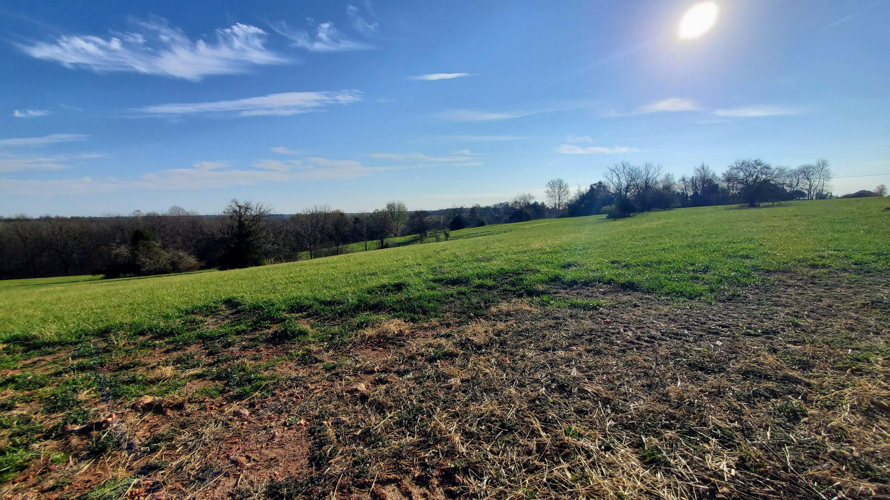 Photo 3 - Land for sale – 6536 S Barrel Boulevard  Republic, MO