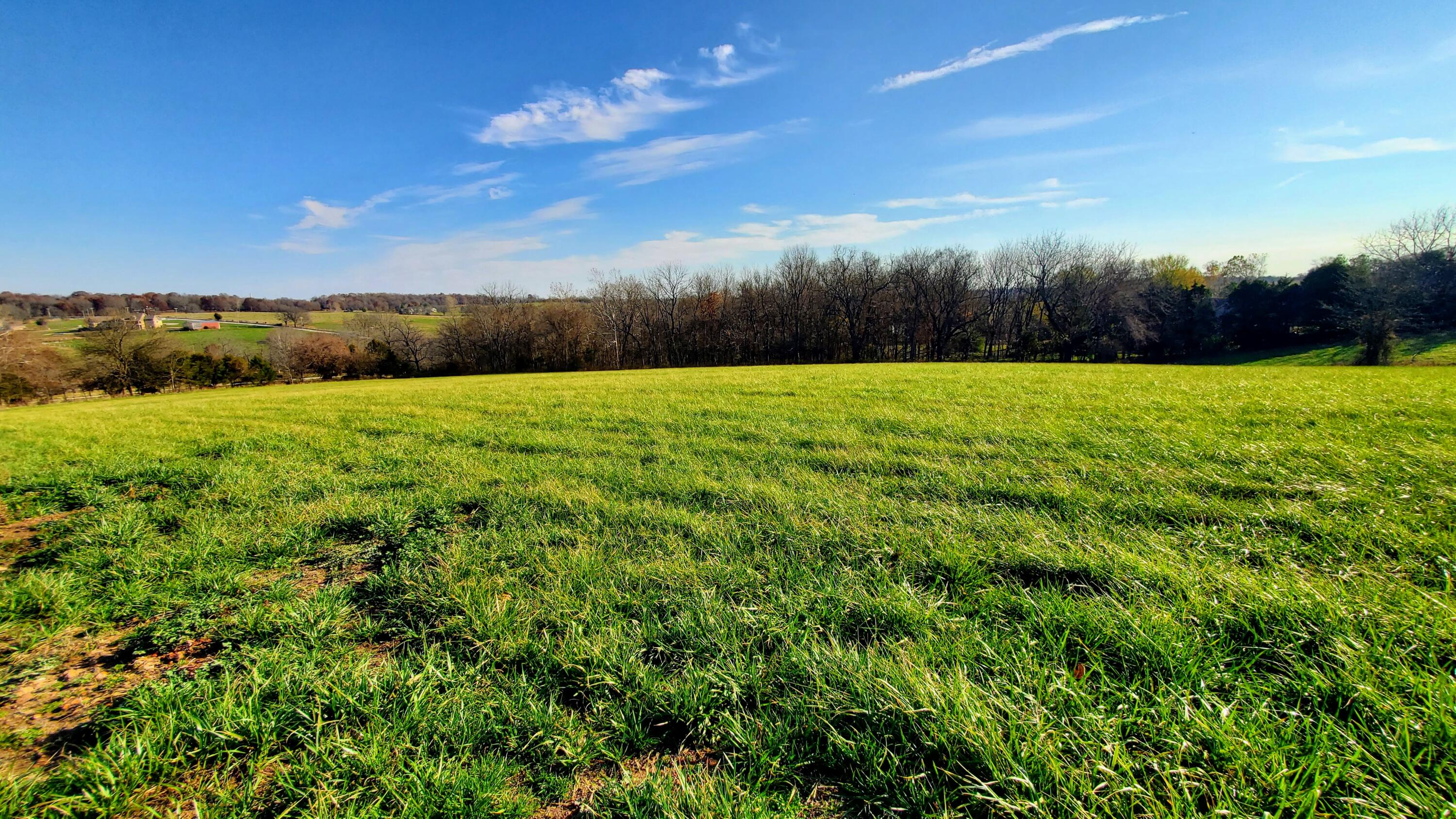 Photo 5 - Land for sale – 6536 S Barrel Boulevard  Republic, MO