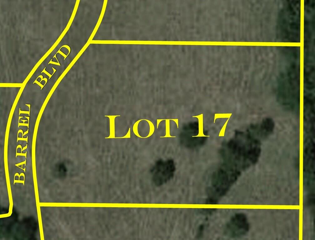 Photo 2 - Land for sale – 6474 S Barrel Boulevard  Republic, MO