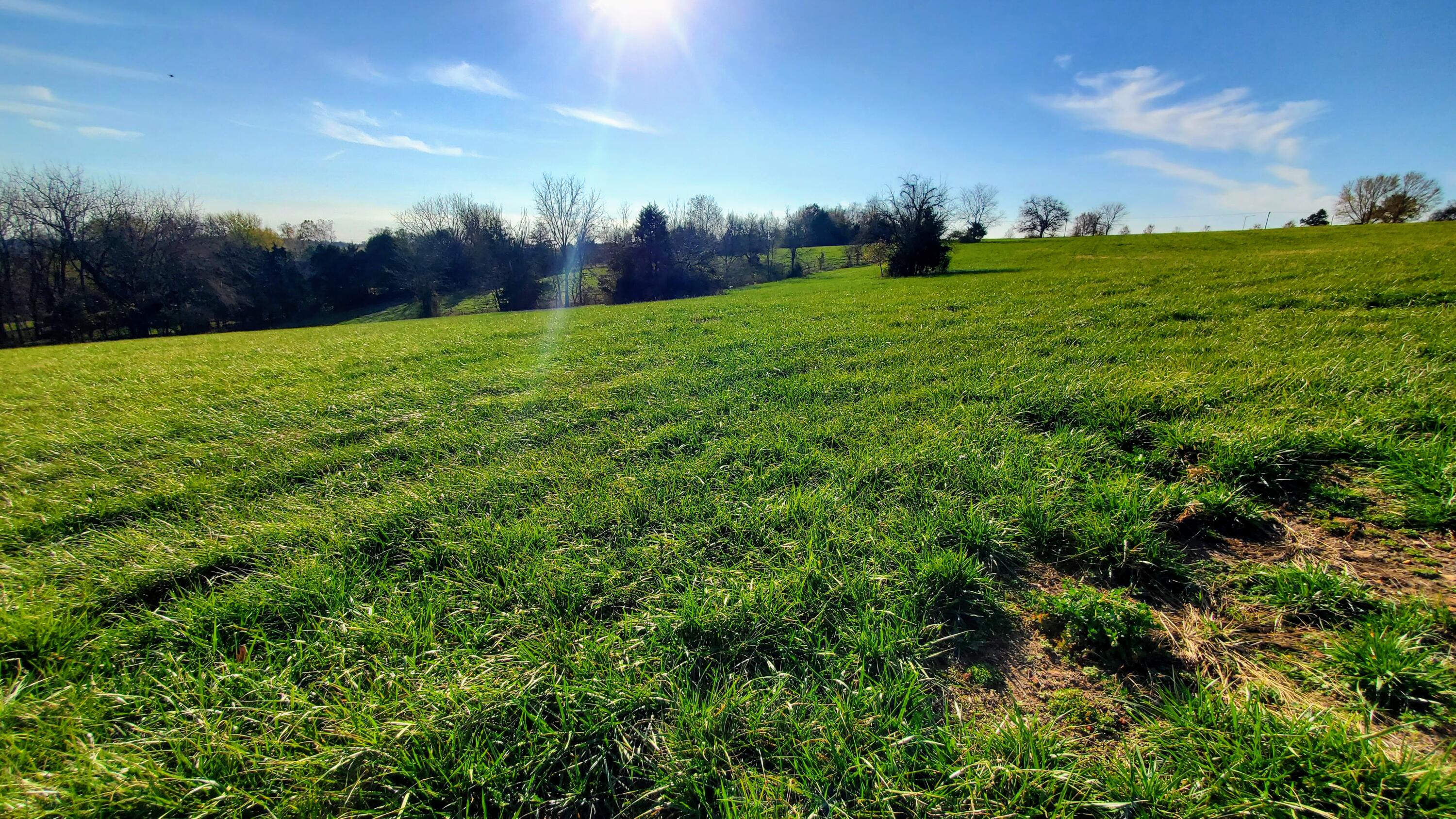 Photo 4 - Land for sale – 6474 S Barrel Boulevard  Republic, MO