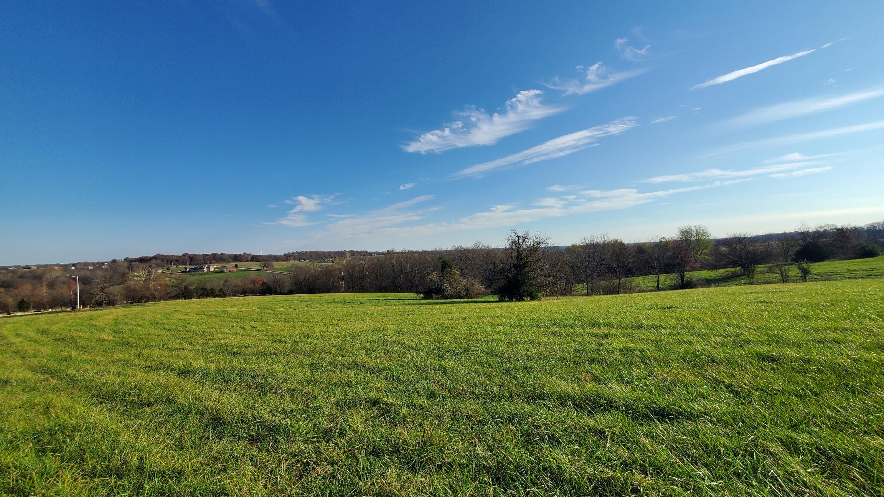 Land for sale – 6474 S Barrel Boulevard  Republic, MO