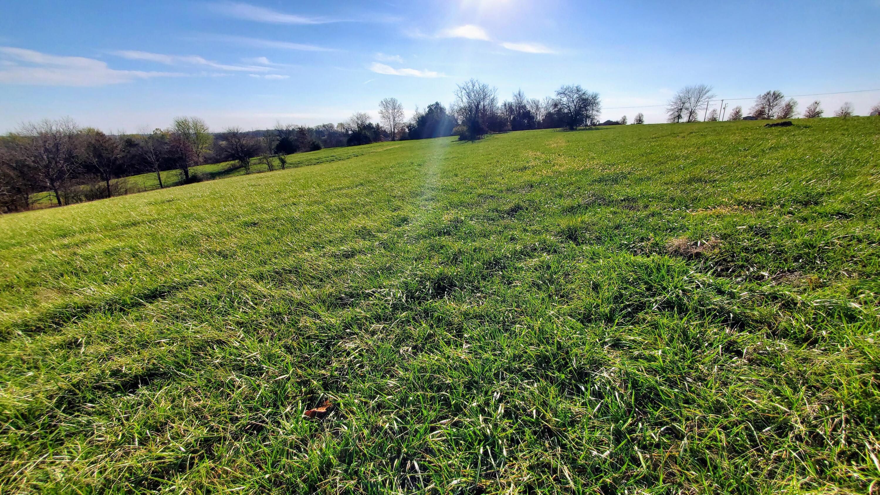 Photo 3 - Land for sale – 6474 S Barrel Boulevard  Republic, MO