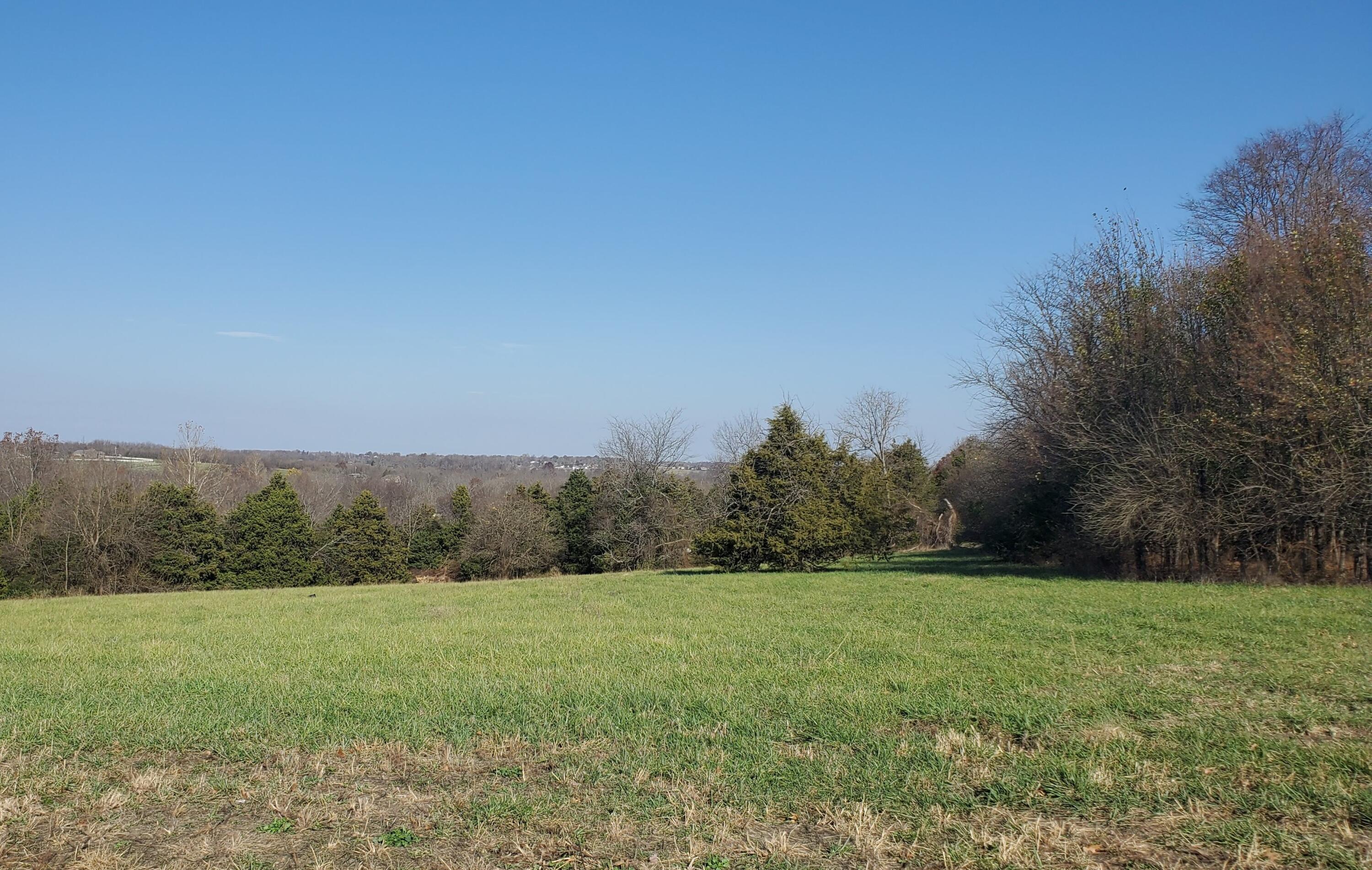 Land for sale – 6948 W Musket Ridge Road  Republic, MO