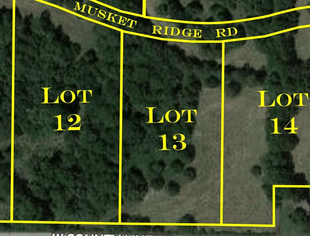 Photo 2 - Land for sale – 6948 W Musket Ridge Road  Republic, MO