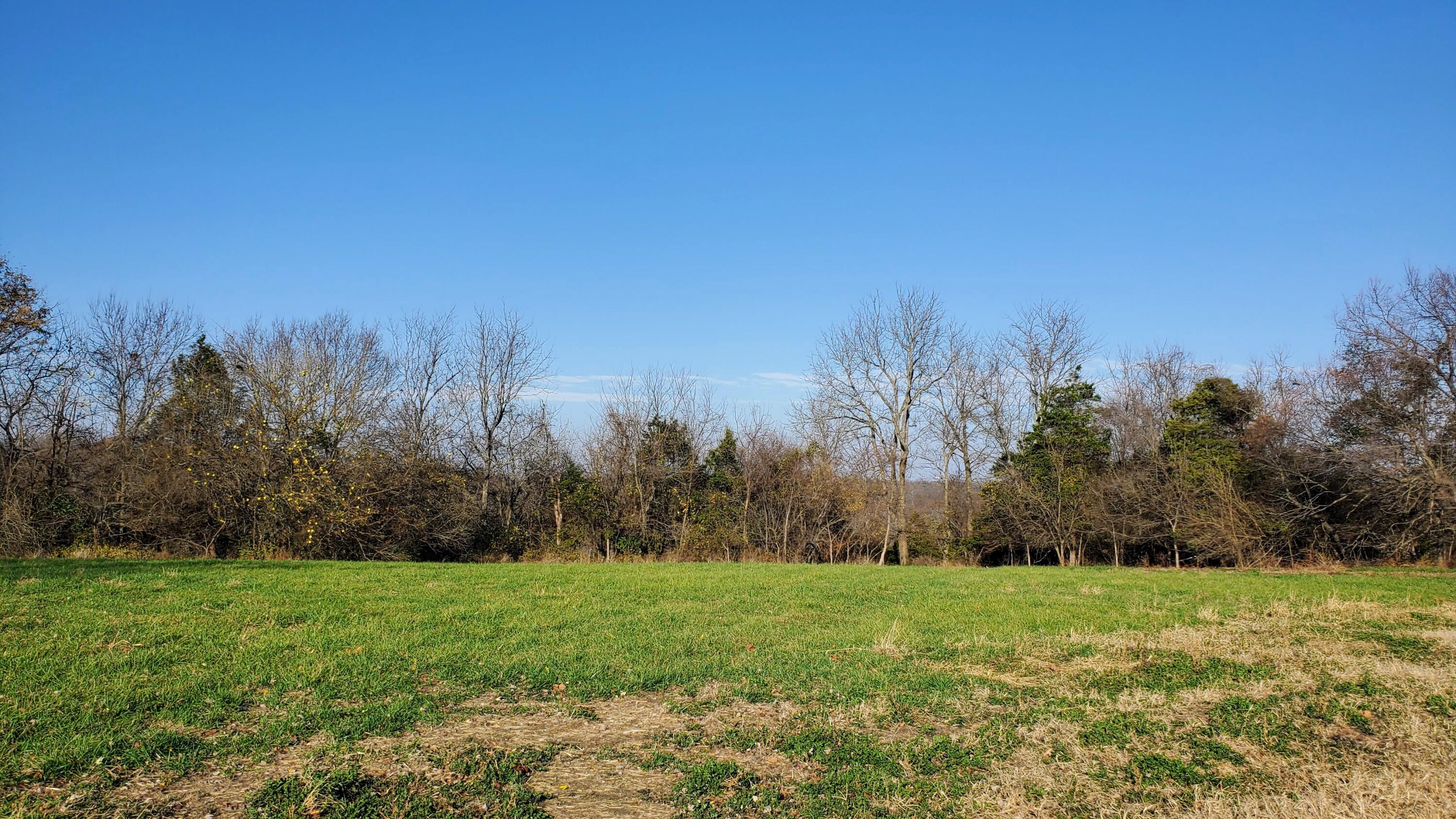 Land for sale – 6932 W Musket Ridge Road  Republic, MO