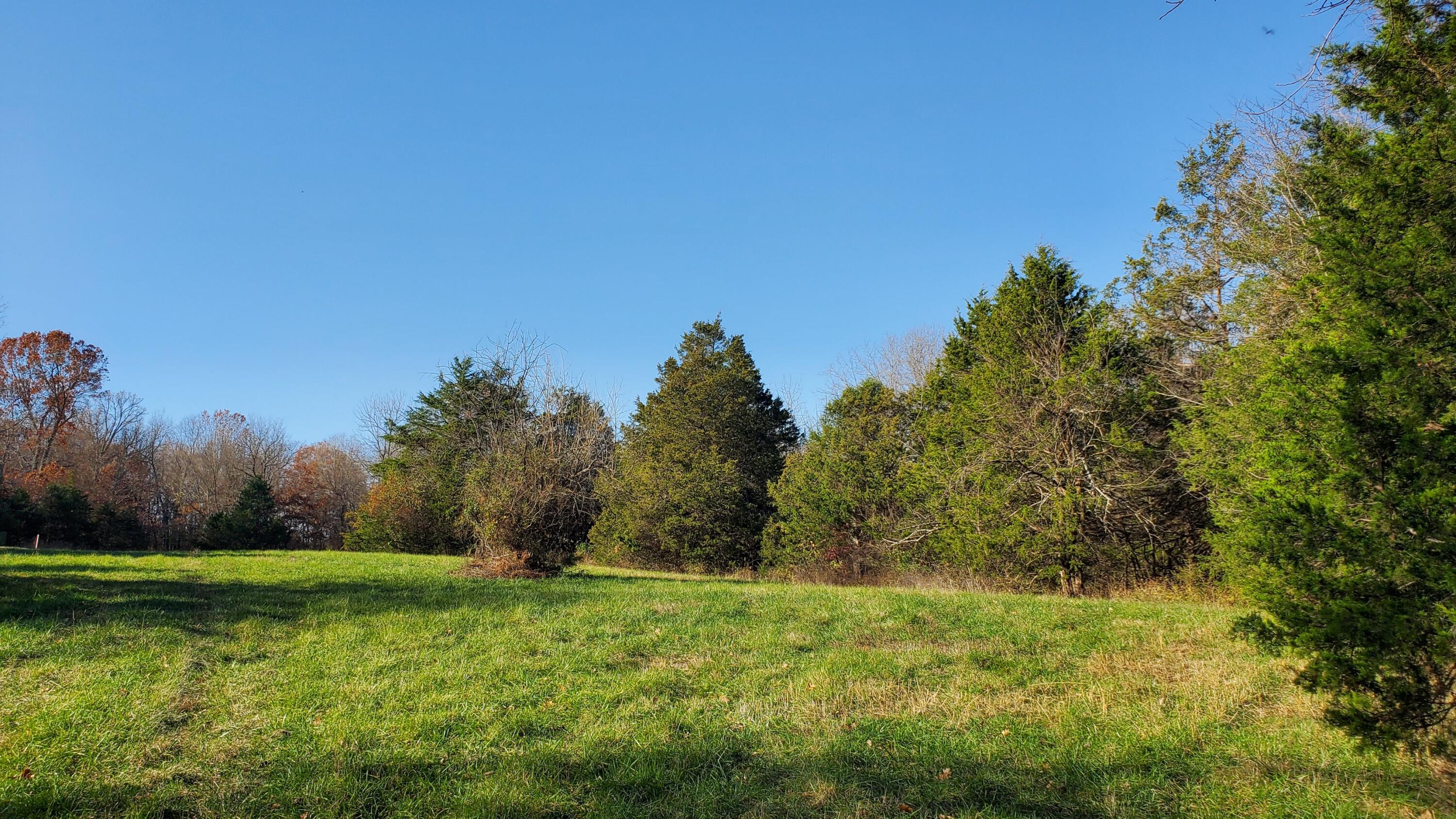 Photo 6 - Land for sale – 6973 W Musket Ridge Road  Republic, MO
