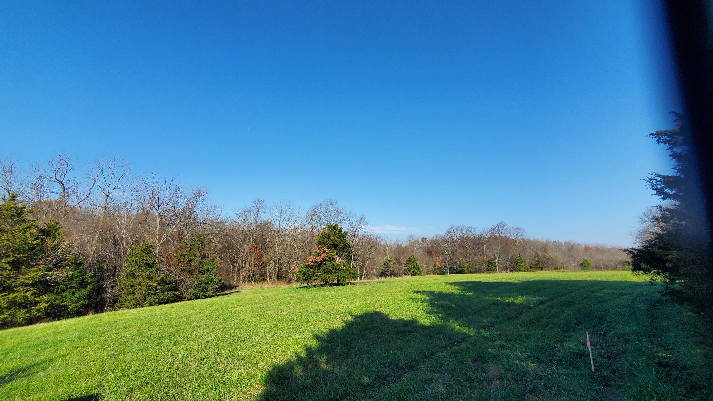 Photo 3 - Land for sale – 6973 W Musket Ridge Road  Republic, MO