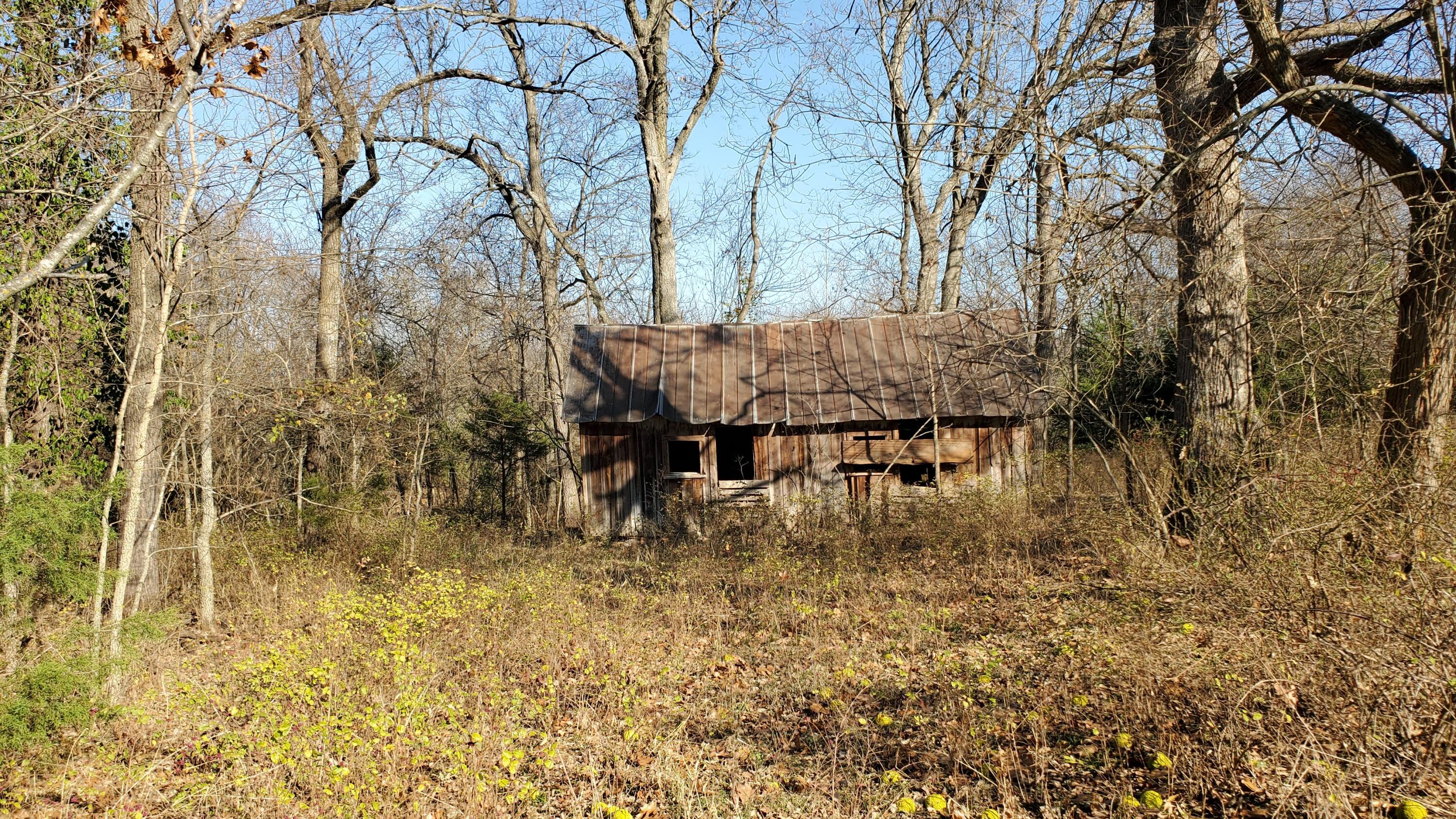 Photo 5 - Land for sale – 6973 W Musket Ridge Road  Republic, MO
