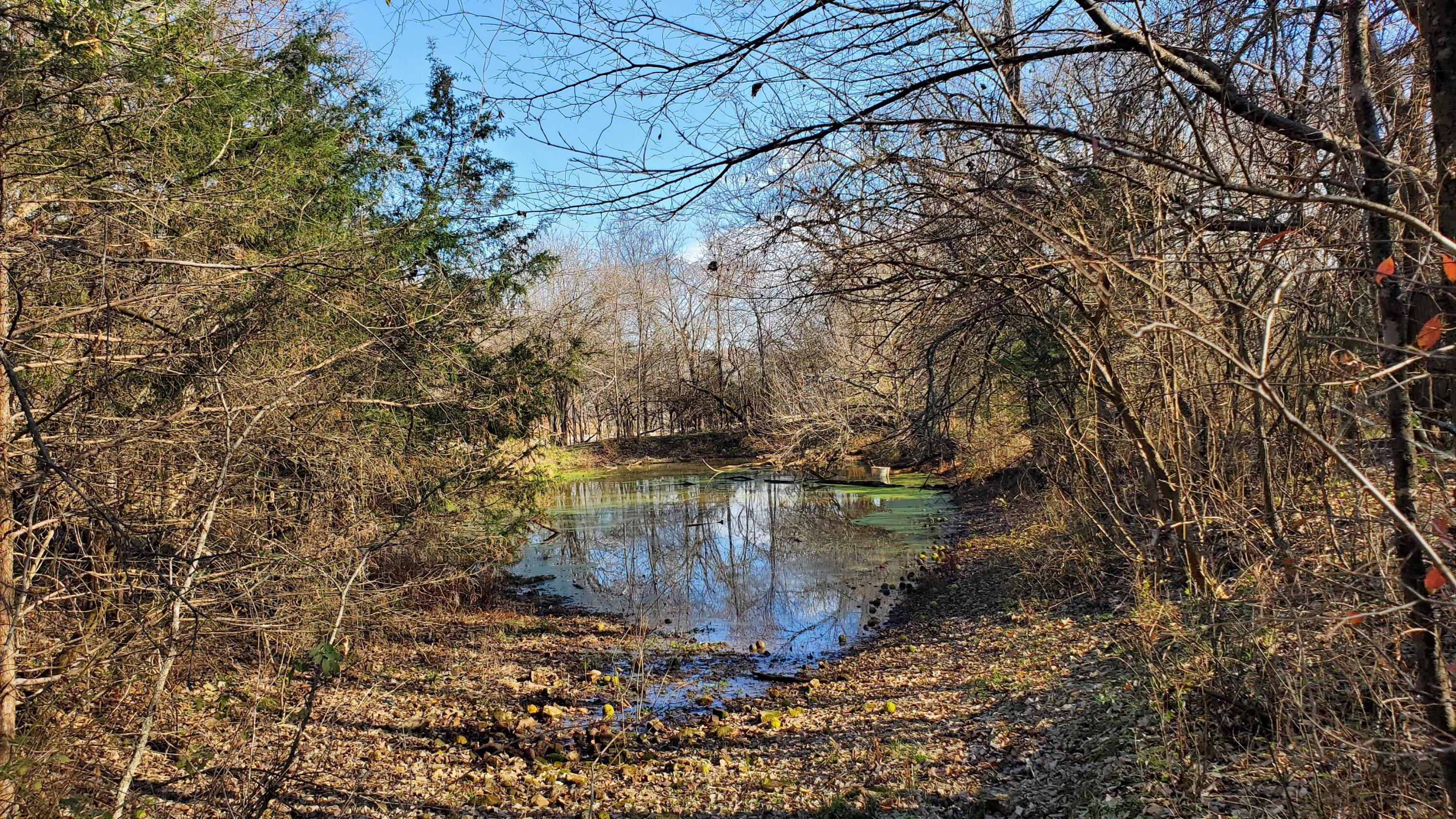 Photo 7 - Land for sale – 6973 W Musket Ridge Road  Republic, MO