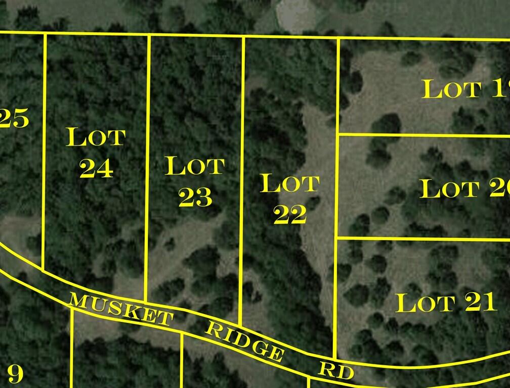 Photo 9 - Land for sale – 6973 W Musket Ridge Road  Republic, MO