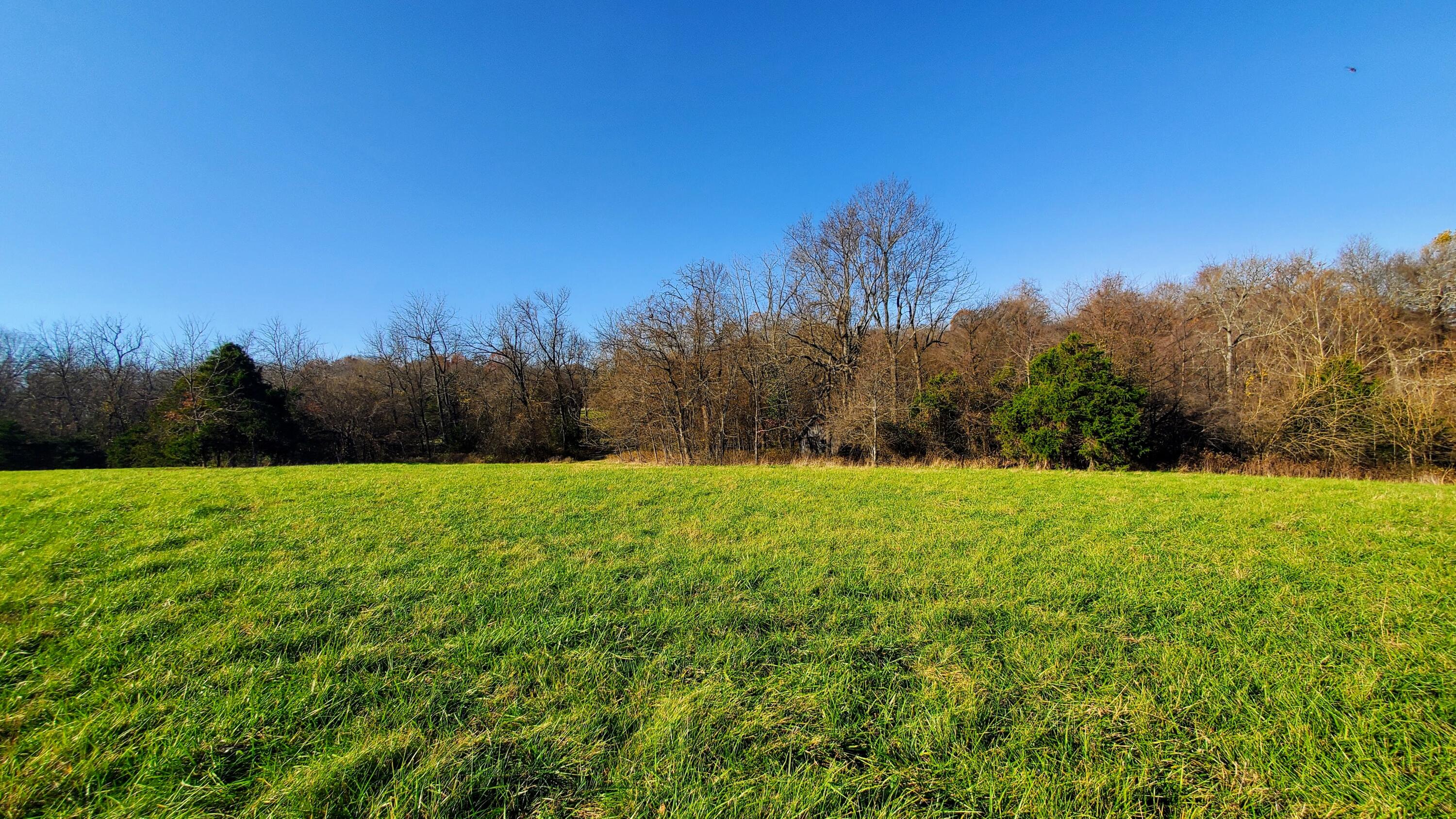Land for sale – 6973 W Musket Ridge Road  Republic, MO
