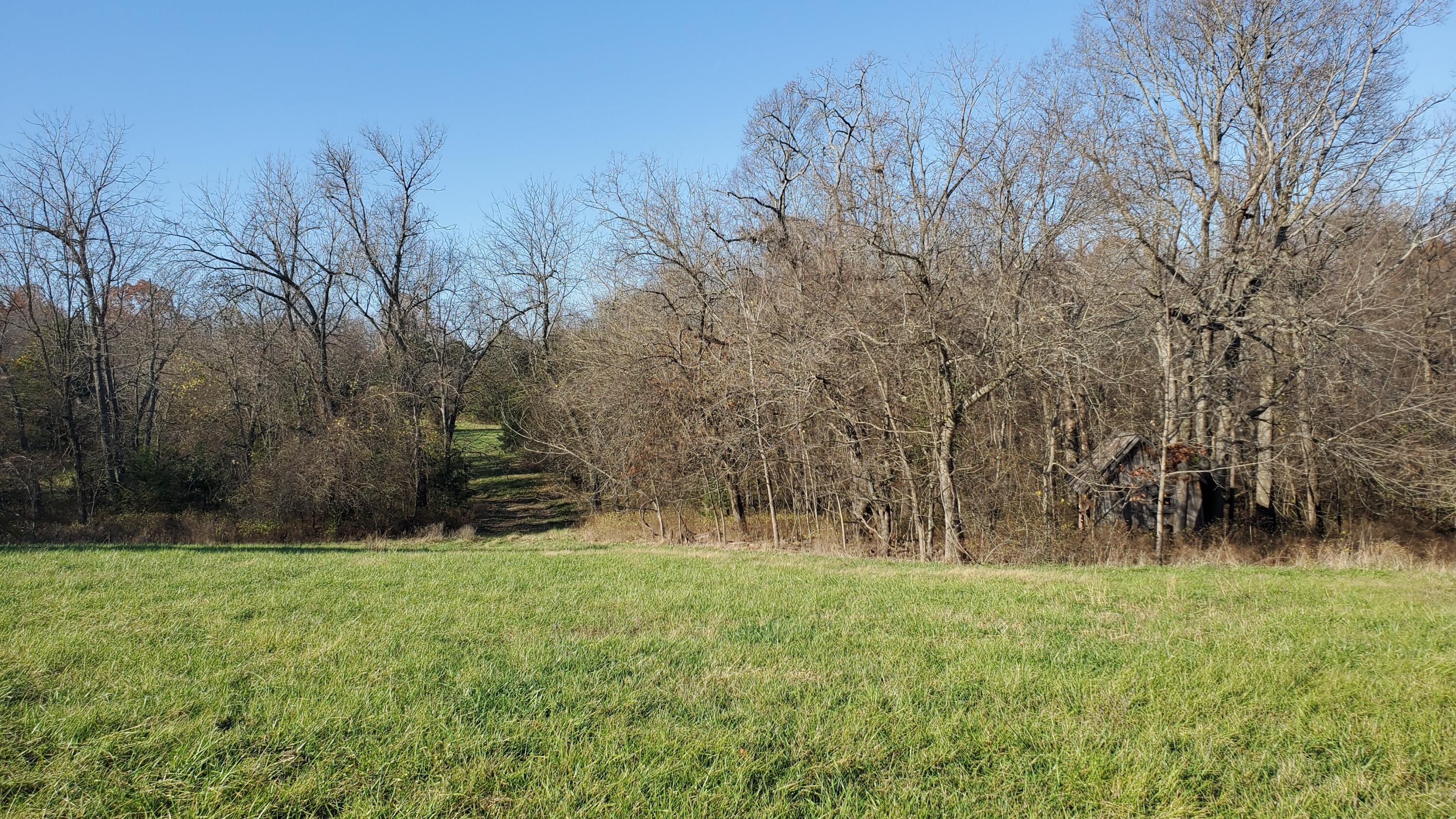 Photo 2 - Land for sale – 6973 W Musket Ridge Road  Republic, MO