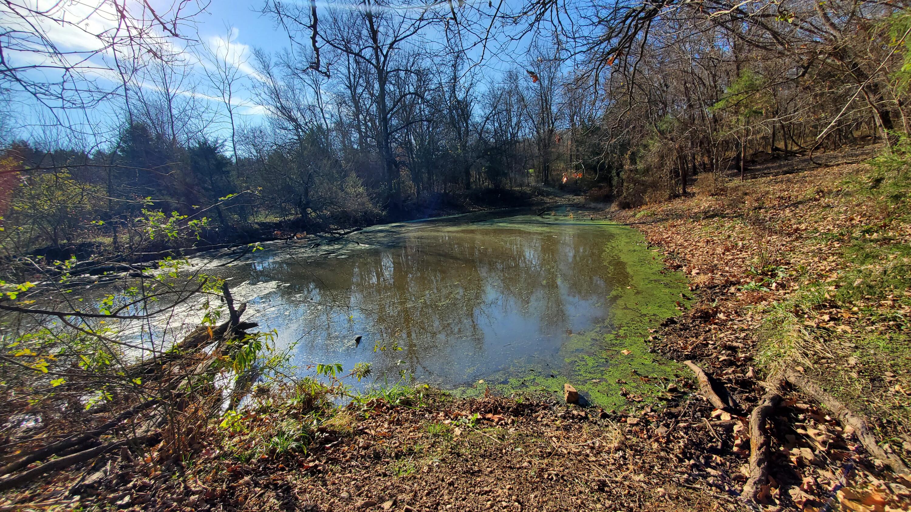 Photo 8 - Land for sale – 6973 W Musket Ridge Road  Republic, MO