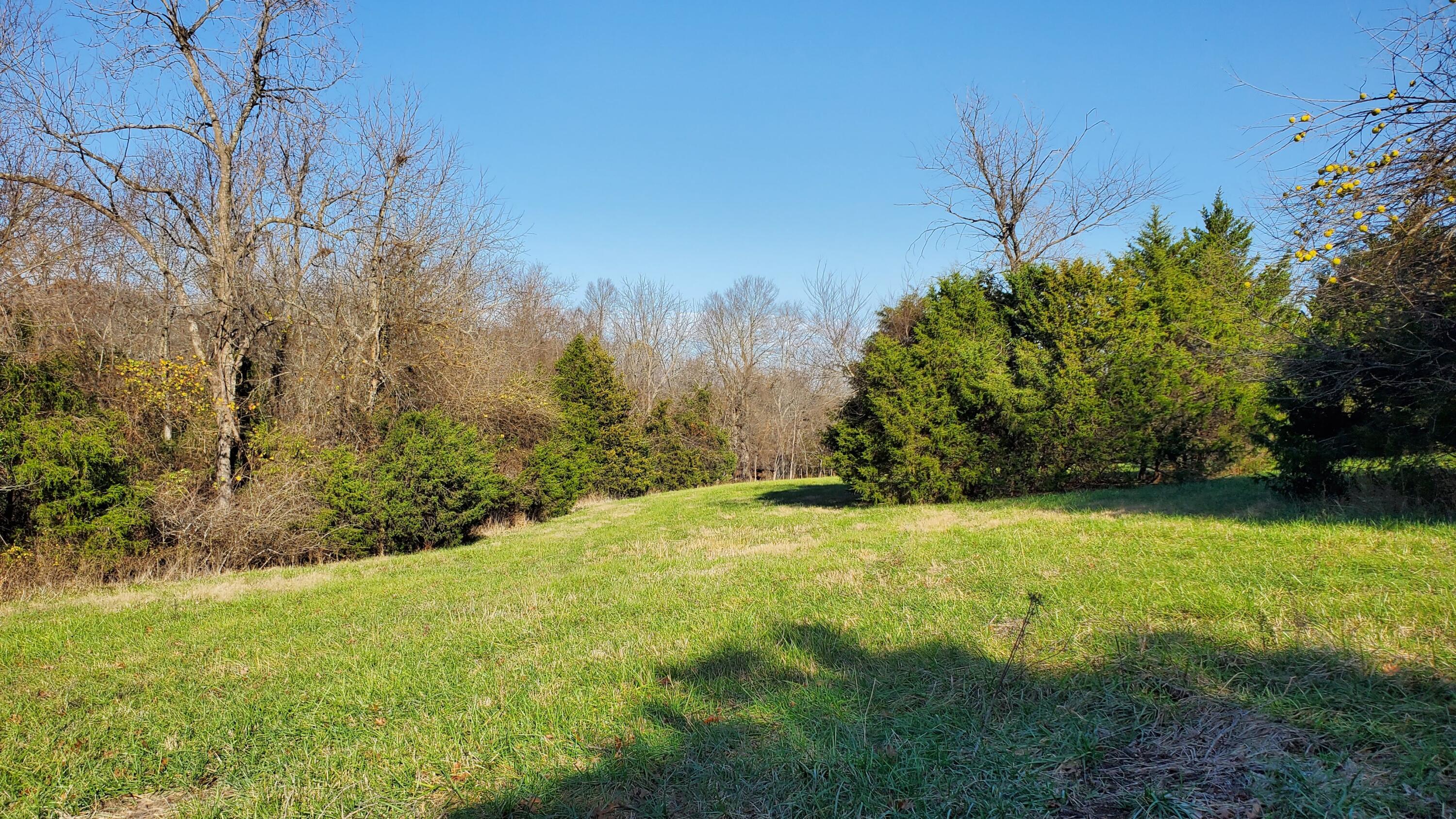Photo 4 - Land for sale – 6973 W Musket Ridge Road  Republic, MO