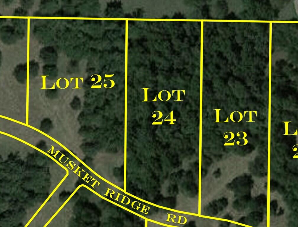 Photo 3 - Land for sale – 7077 W Musket Ridge Road  Republic, MO