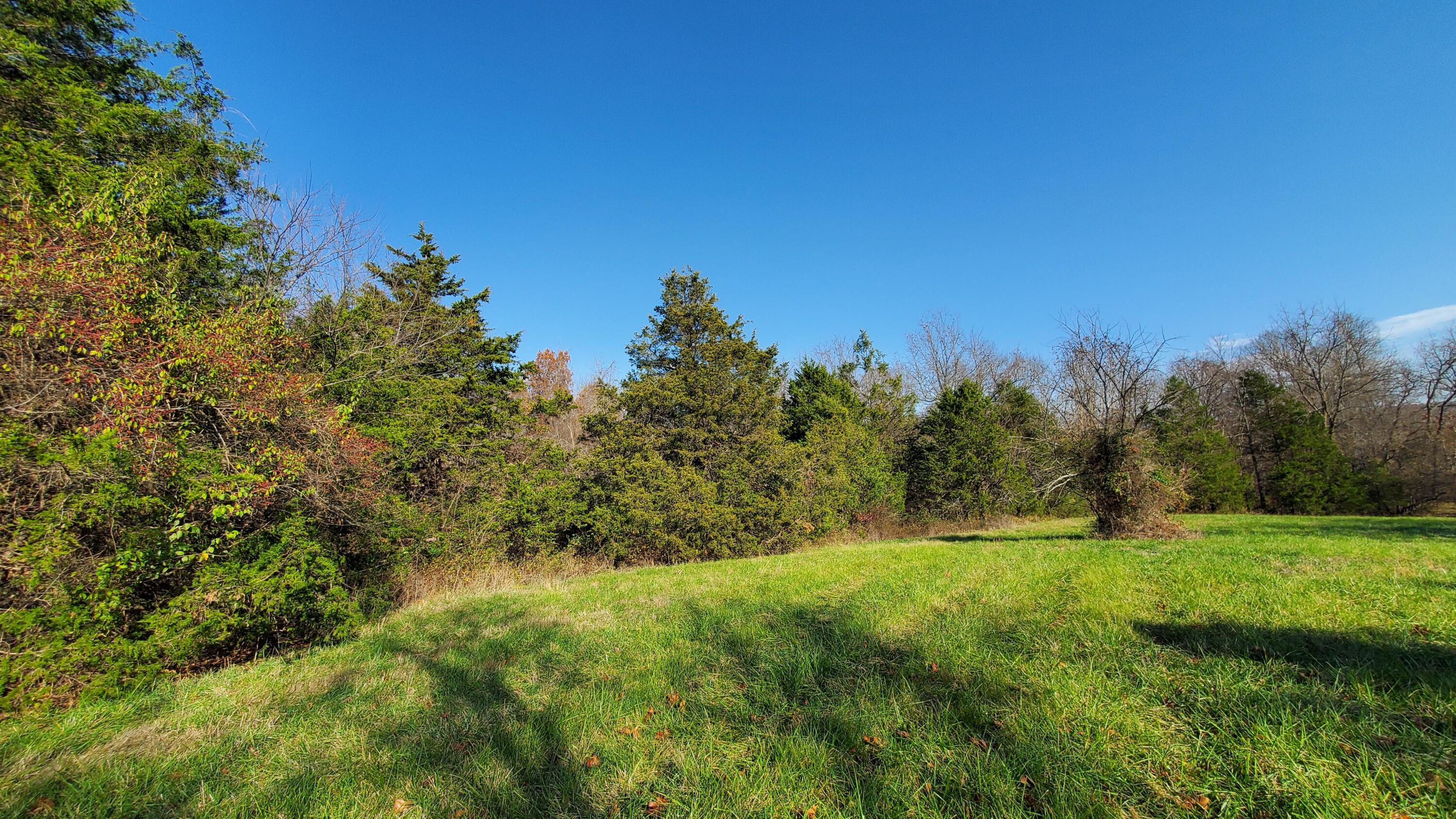 Land for sale – 7077 W Musket Ridge Road  Republic, MO